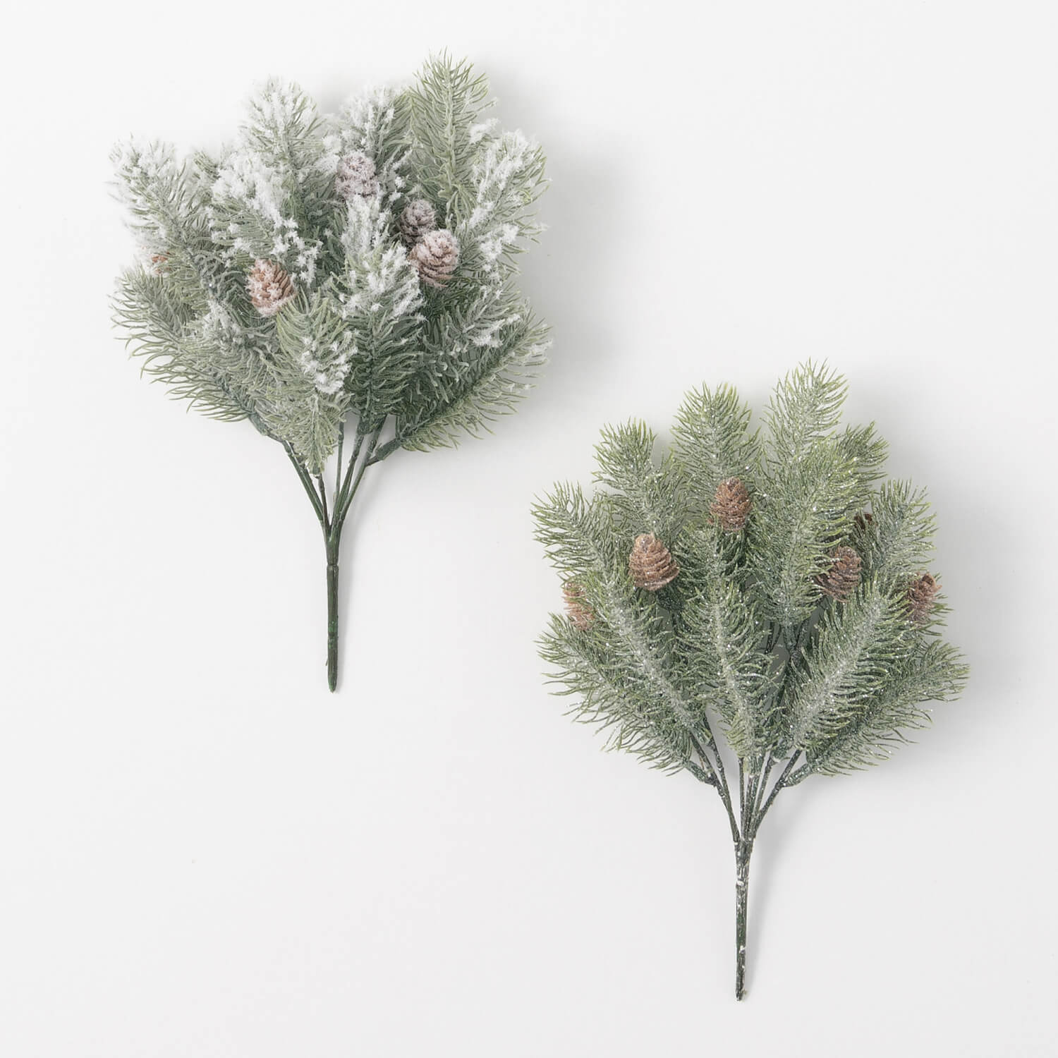 FROSTY PINE BUSH 2 ASST