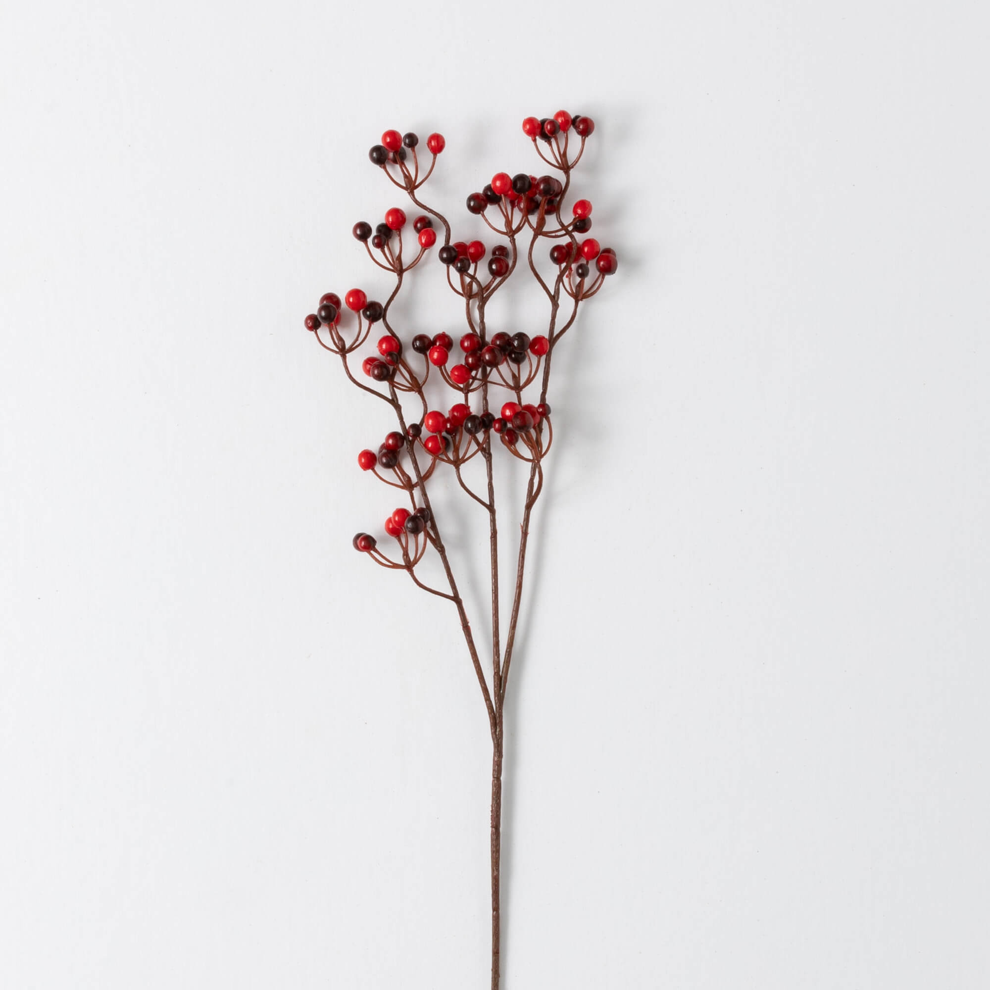 BERRY BUSH
