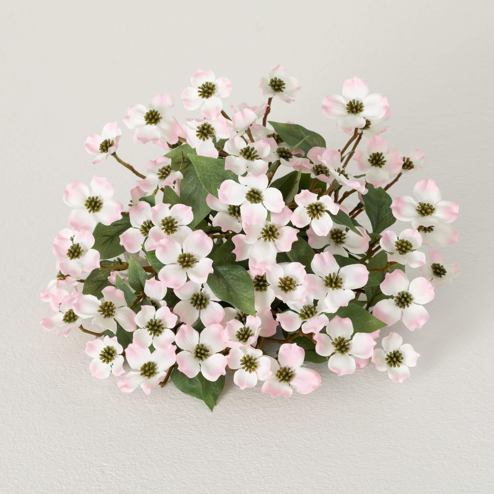 DOGWOOD ORB