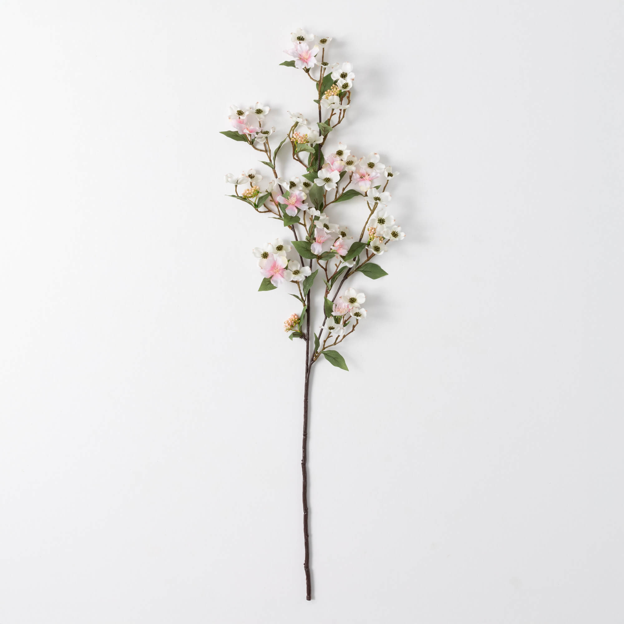 DOGWOOD SPRAY