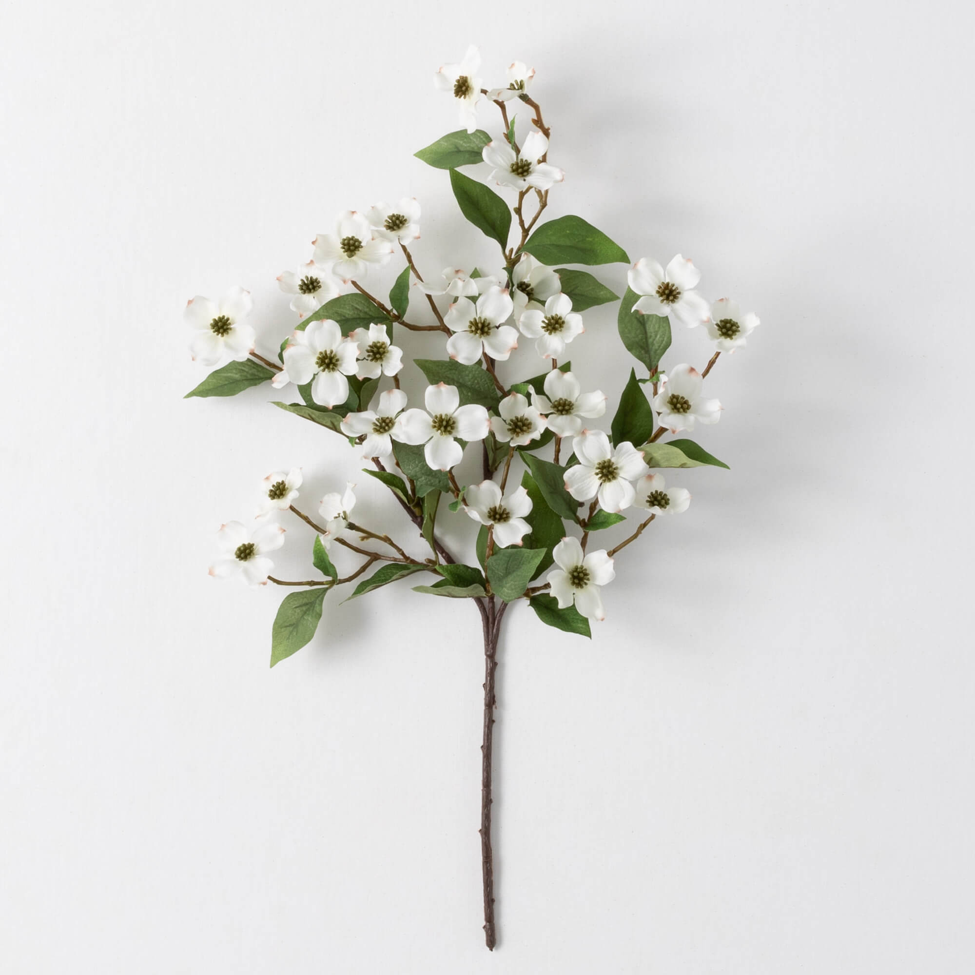 DOGWOOD PICK