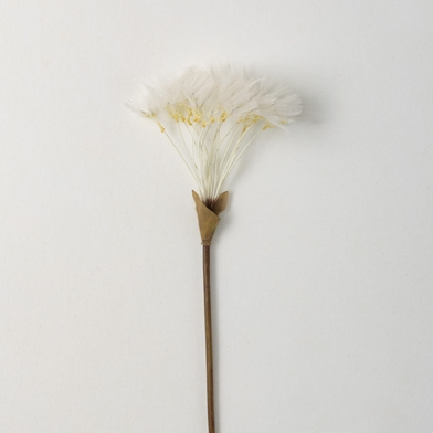 WISPY WHITE PUFF DANDELION