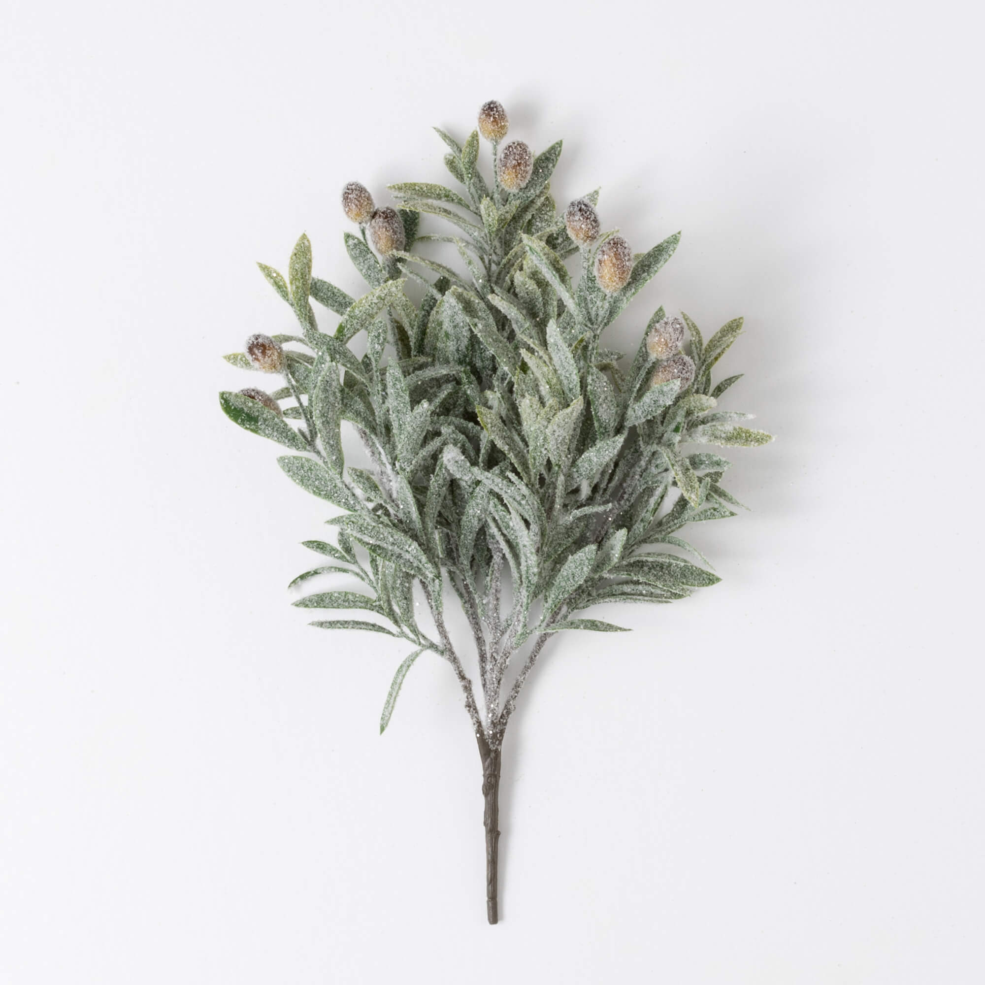 FROSTED OLIVE SPRAY