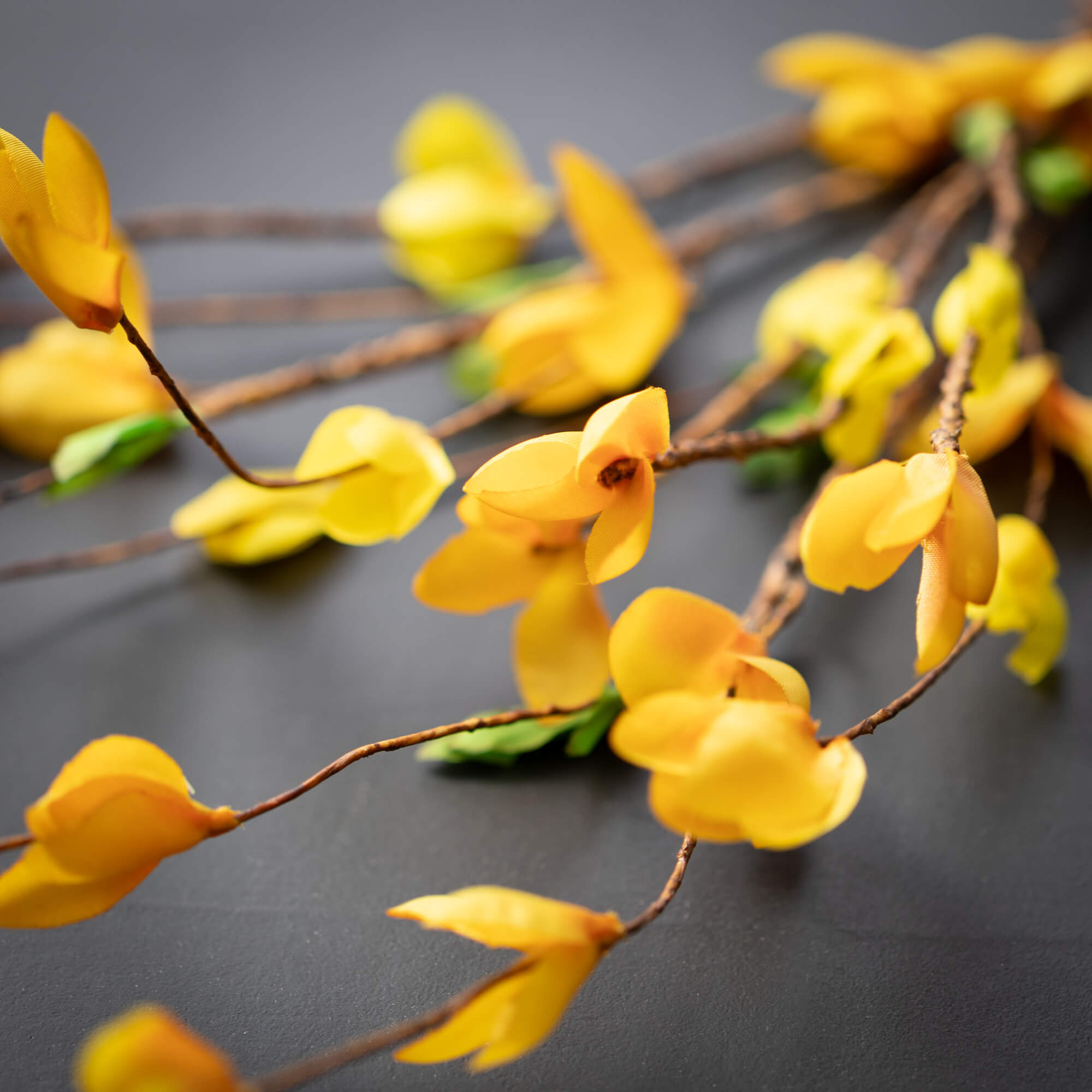 6.5" FORSYTHIA RING