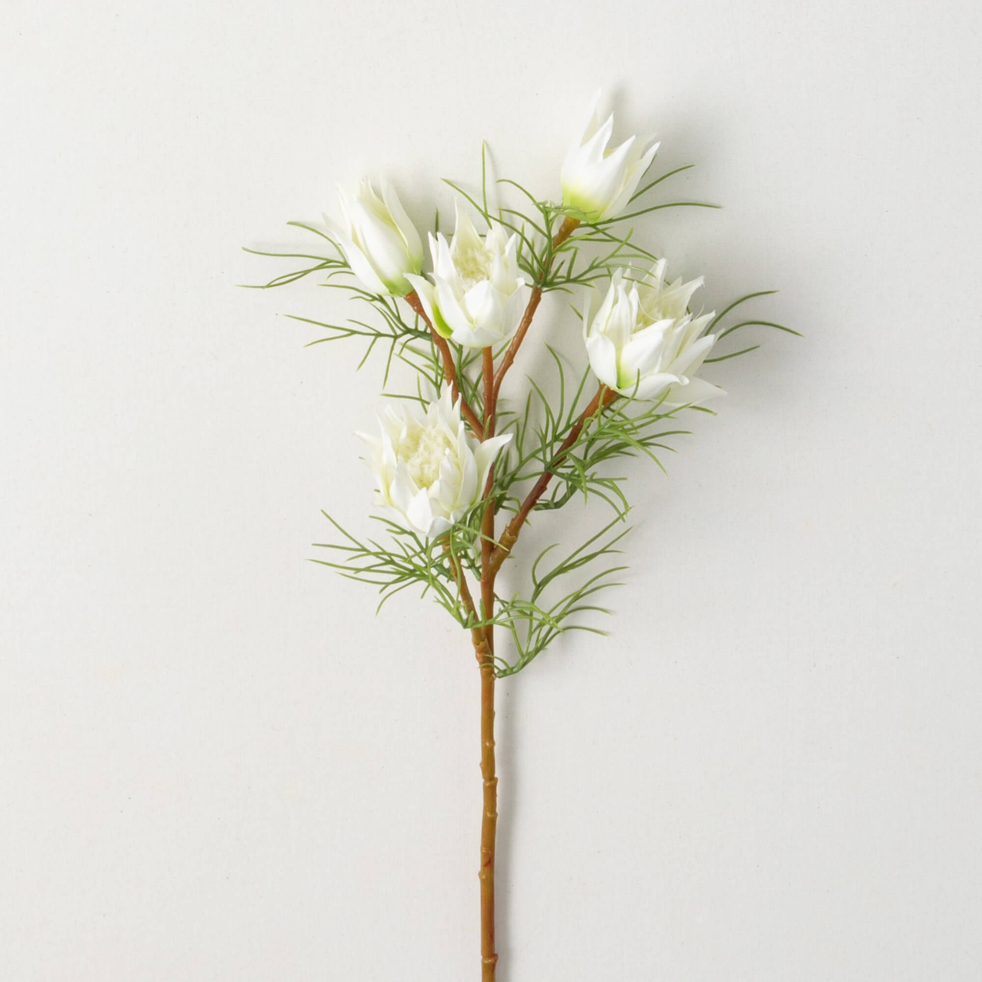 MINI PROTEA SPRAY