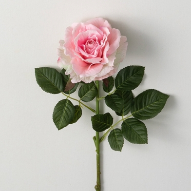 FRESHCUT® PINK BLOOMING ROSE S