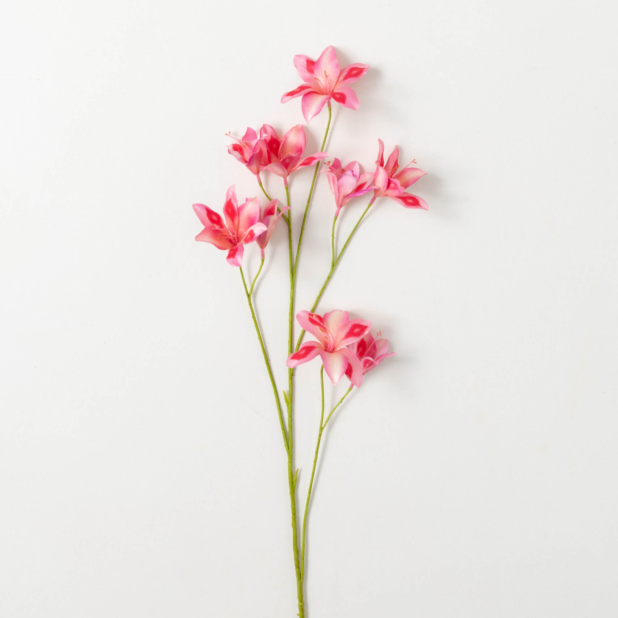 BUBBLEGUM PINK  BLOSSOM SPRAY