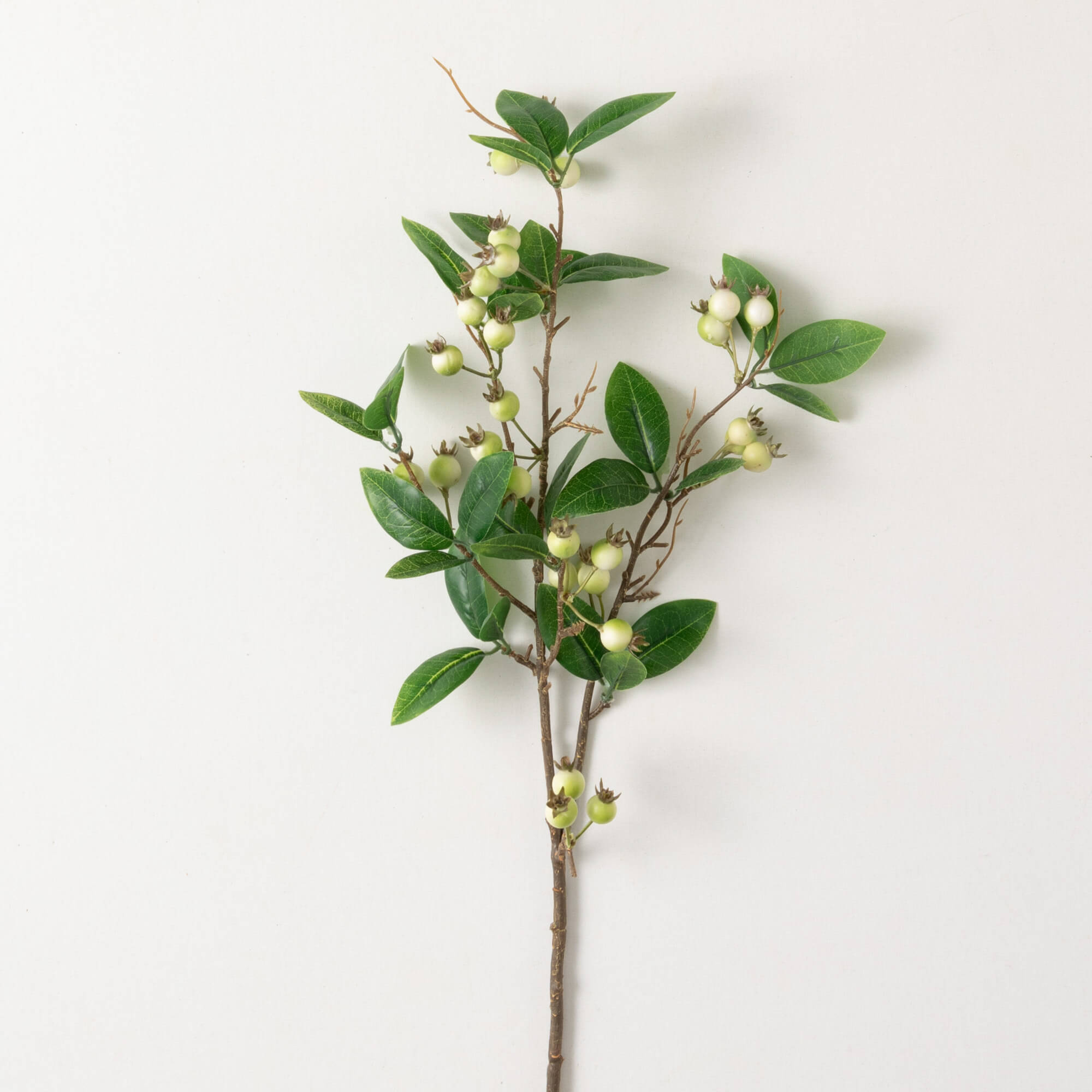 CREAM BERRY SPRAY