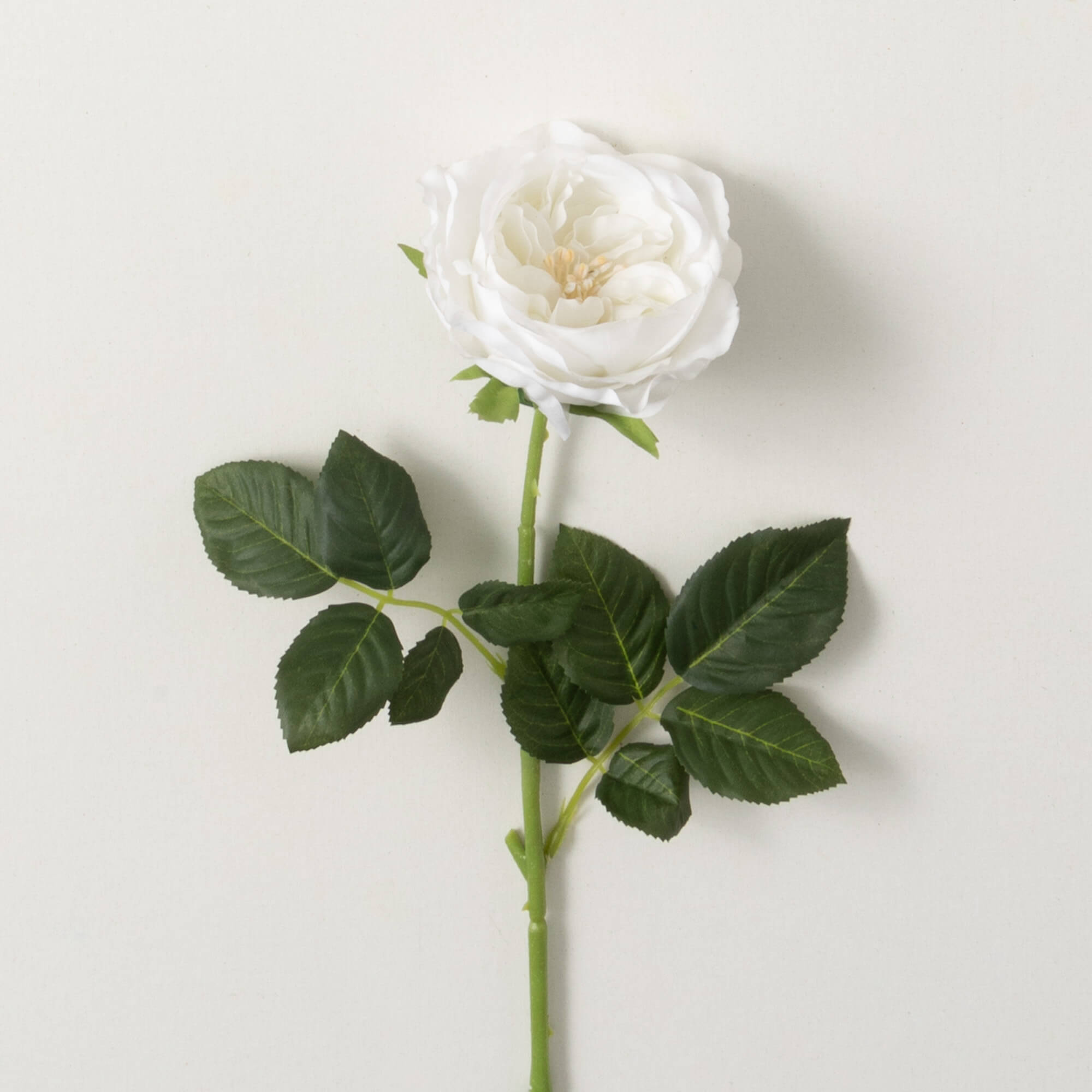 CREAM GARDEN ROSE SPRAY