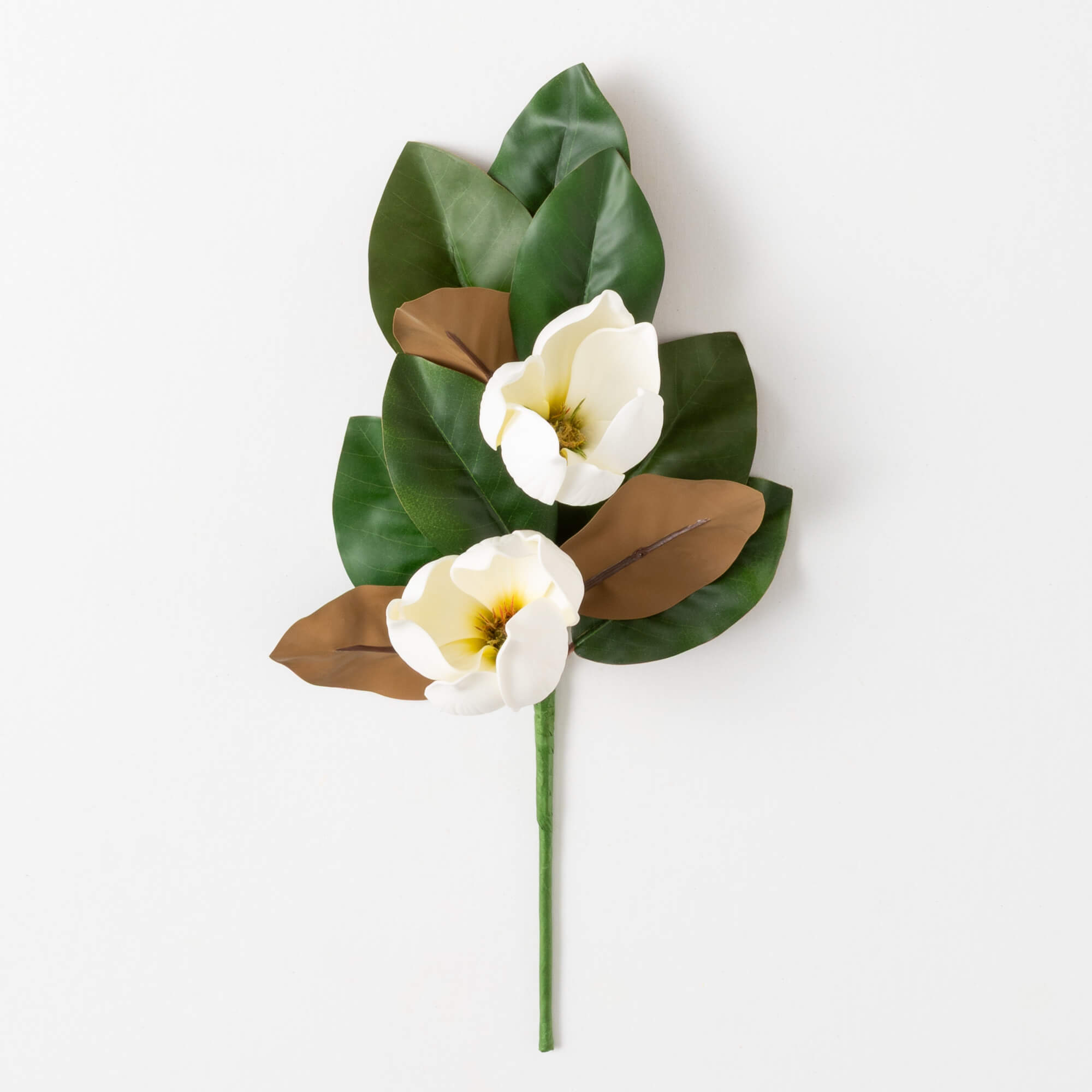 MAGNOLIA PICK