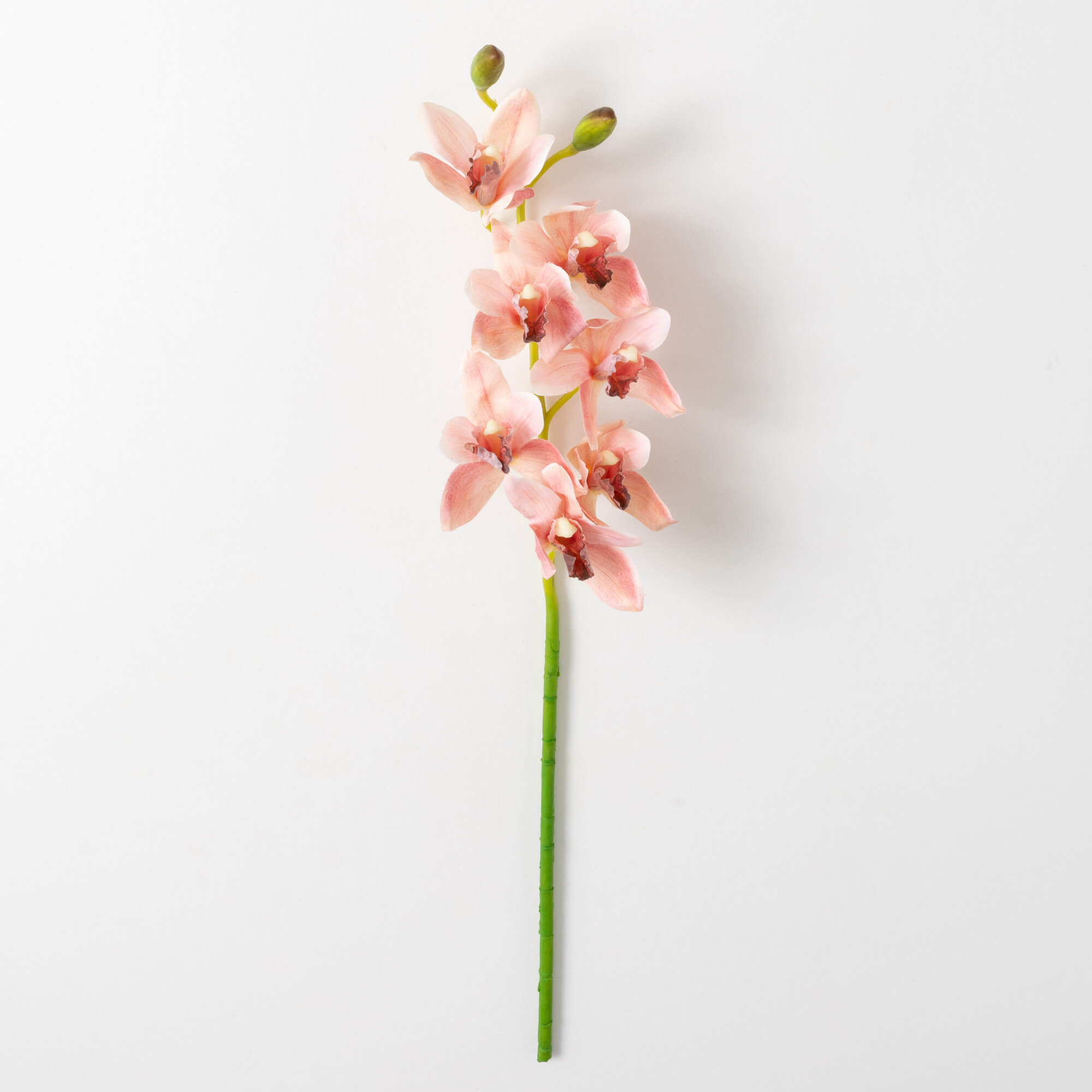 CYMBIDIUM SPRAY