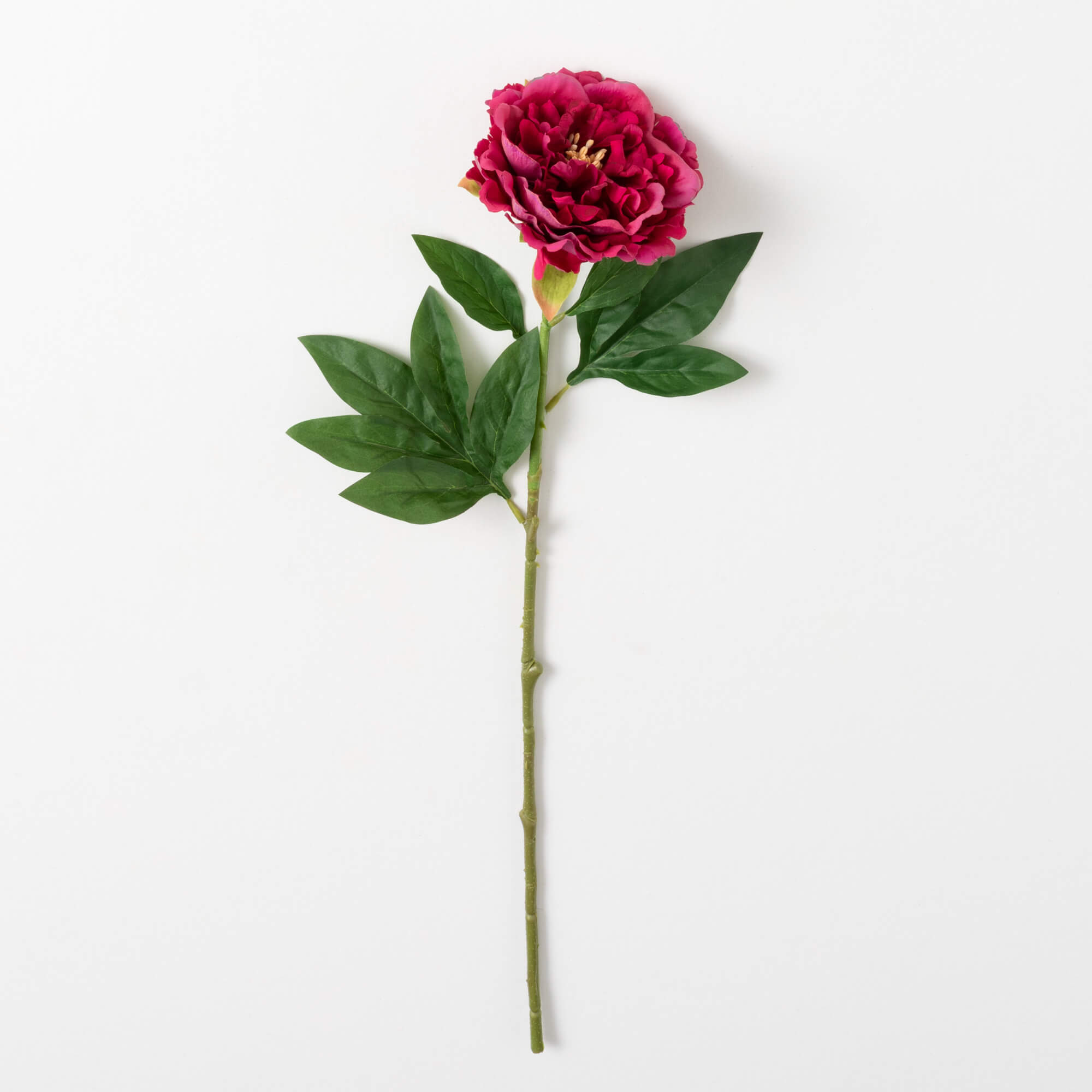 PEONY SPRAY