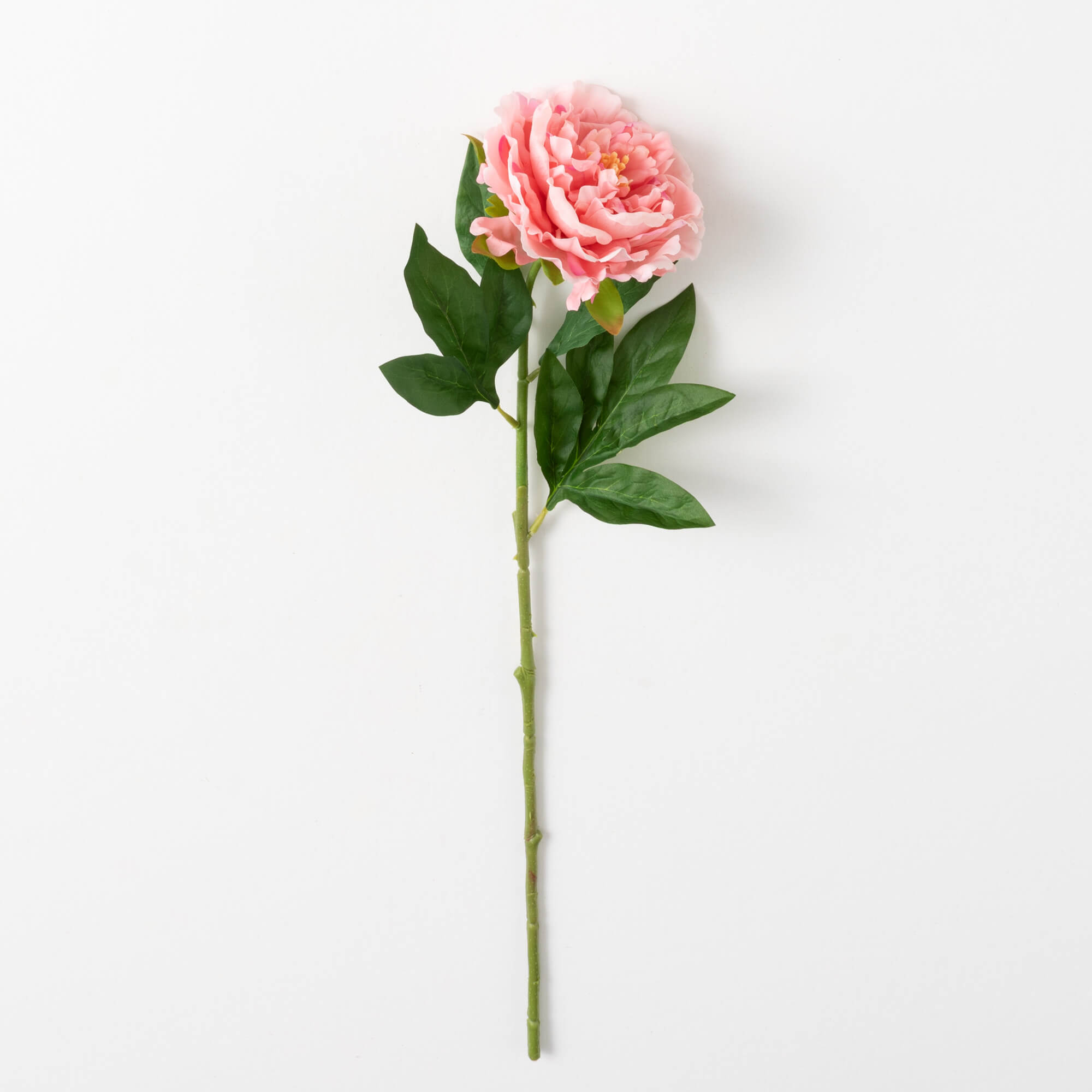 PEONY SPRAY