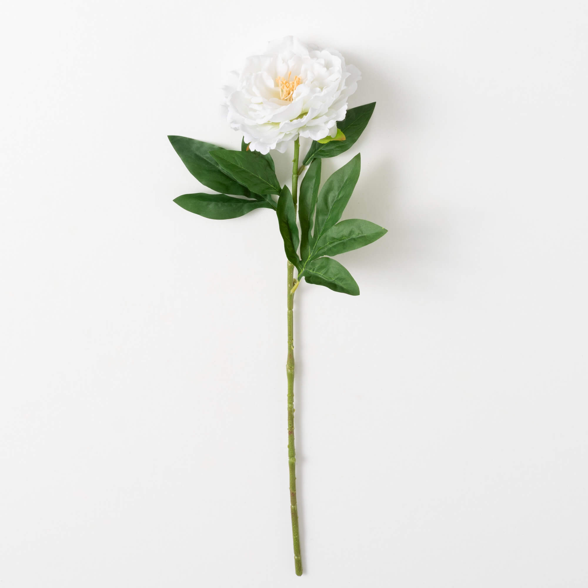 PEONY SPRAY