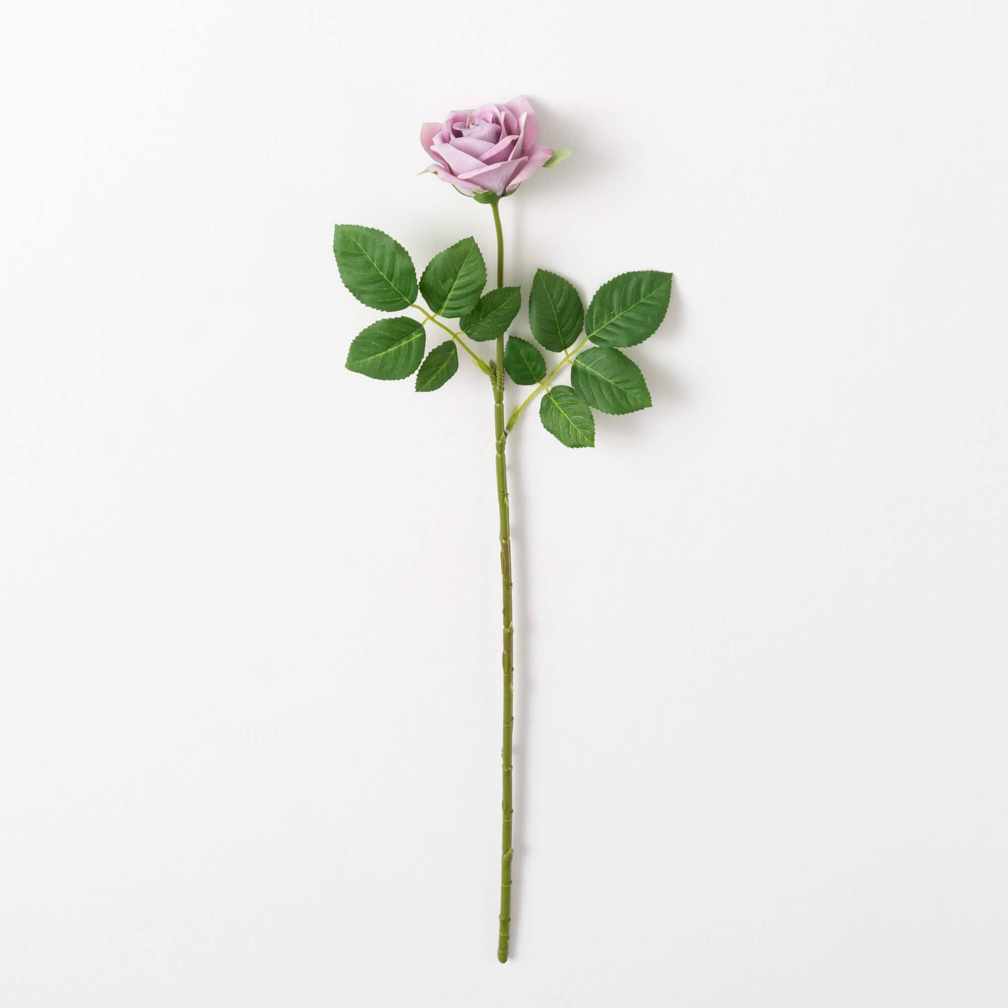 ROSE STEM