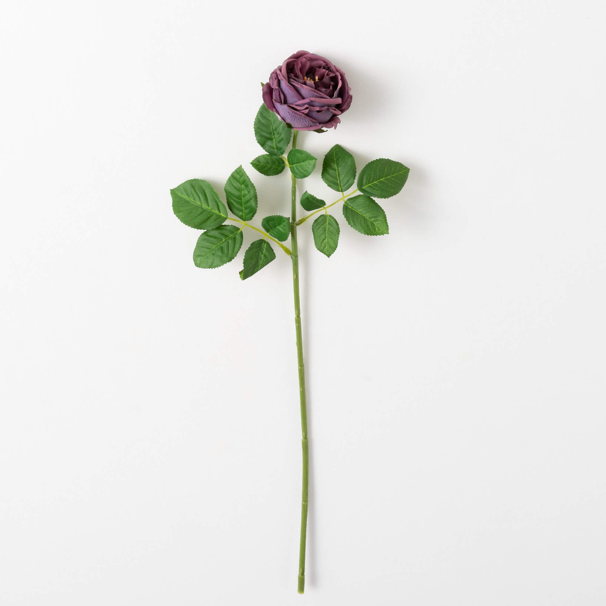 GARDEN ROSE STEM