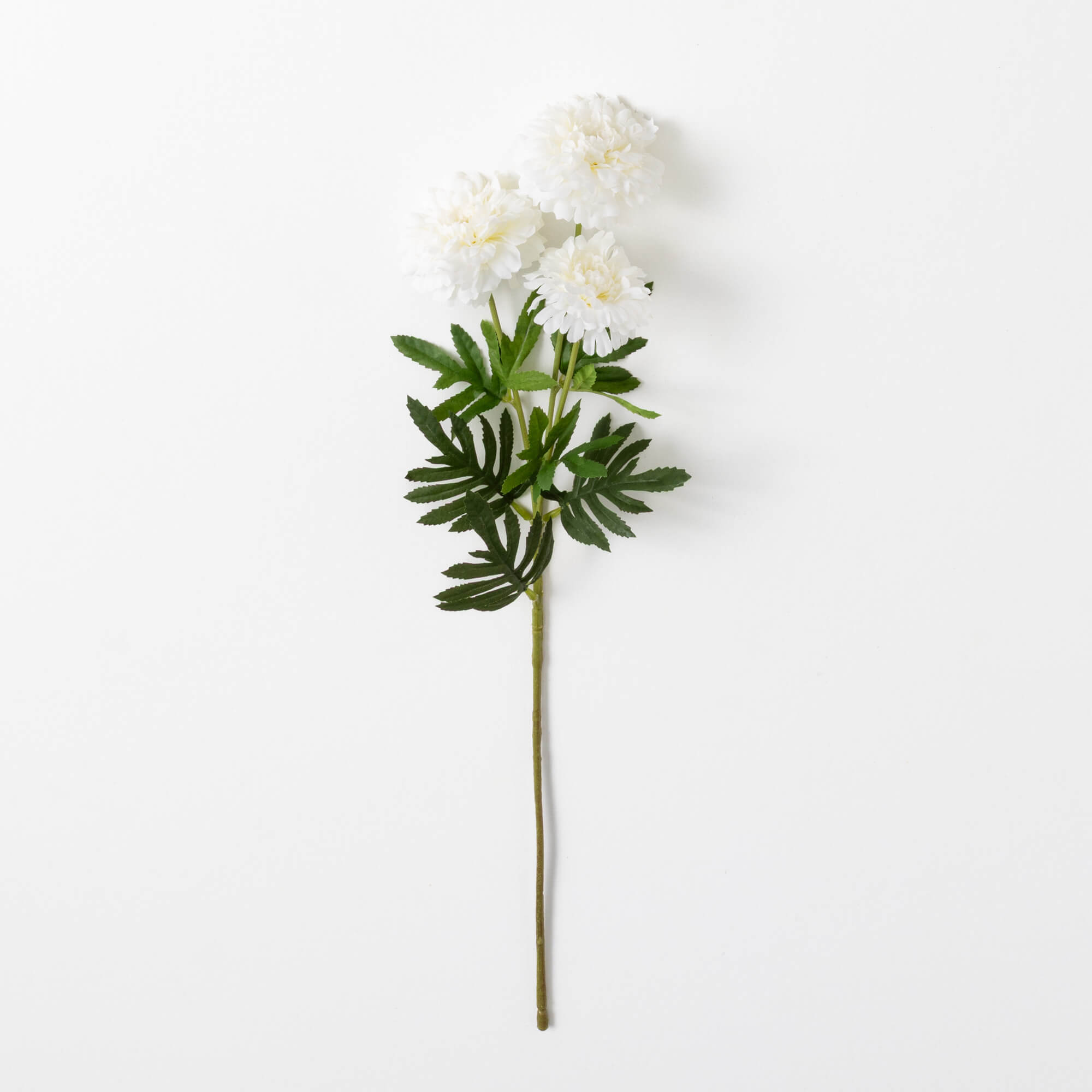 CHRYSANTHEMUM SPRAY