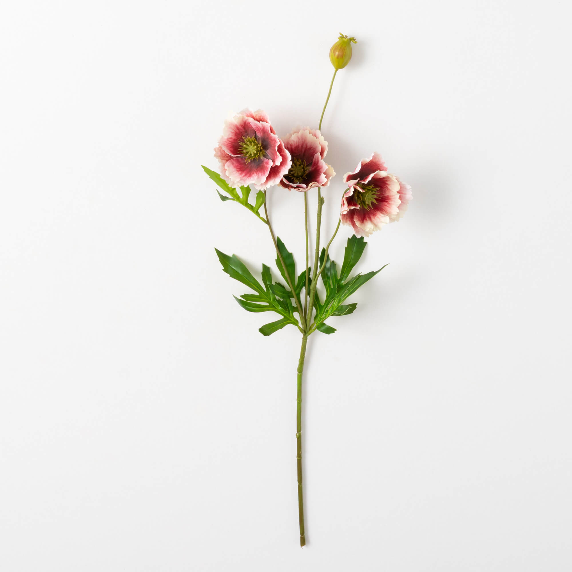 POPPY SPRAY