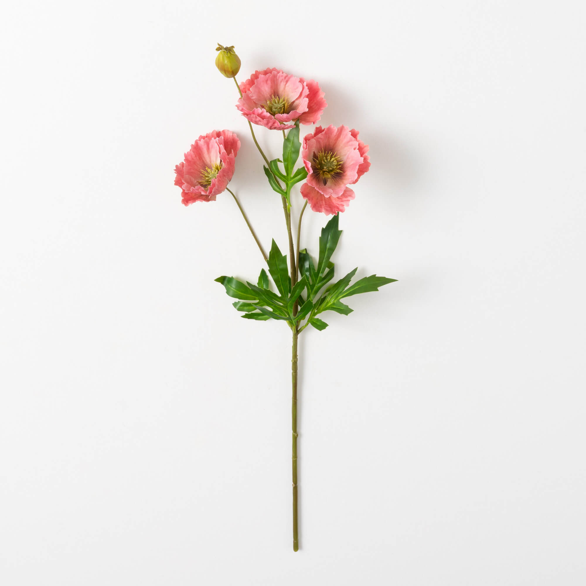 POPPY SPRAY