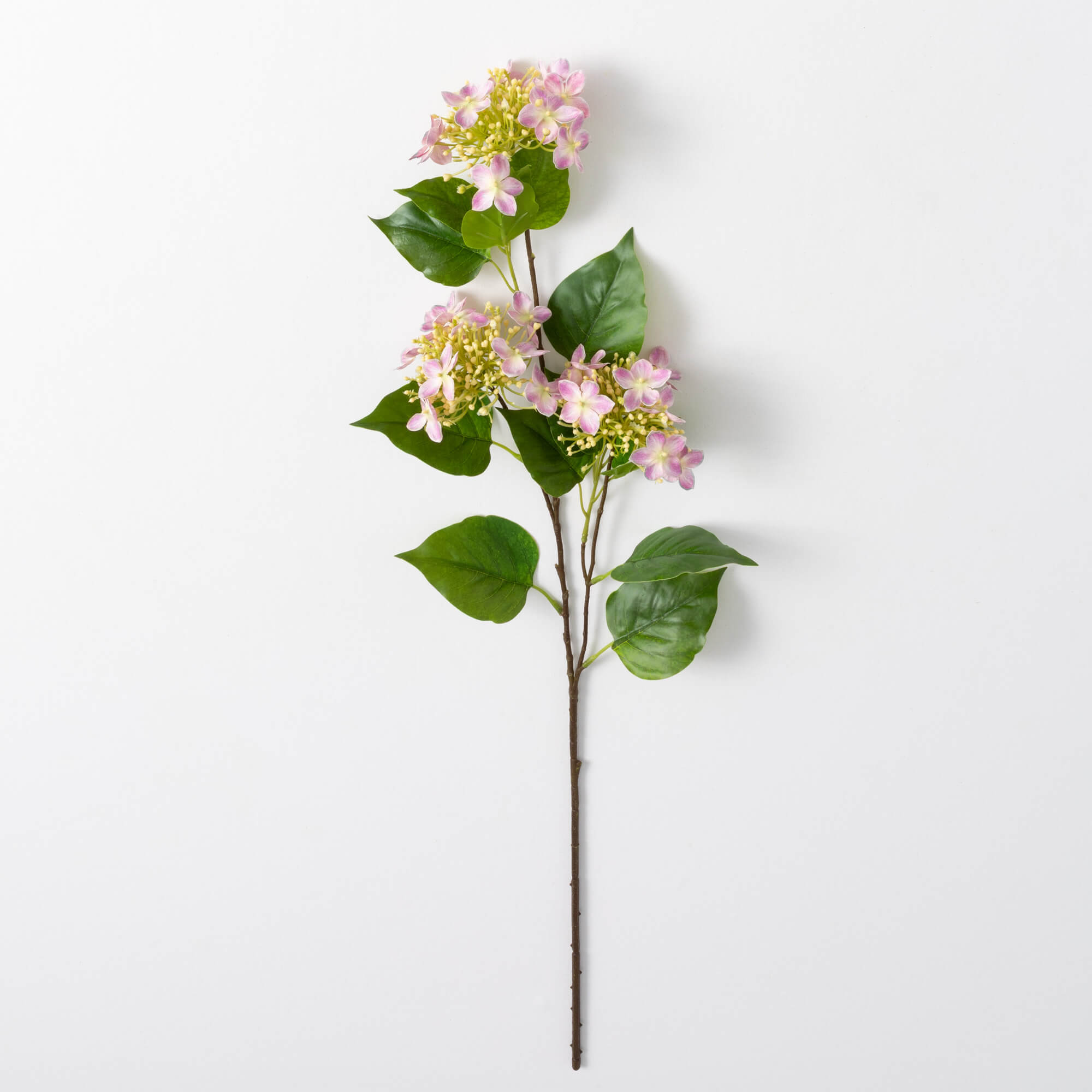 HYDRANGEA SPRAY