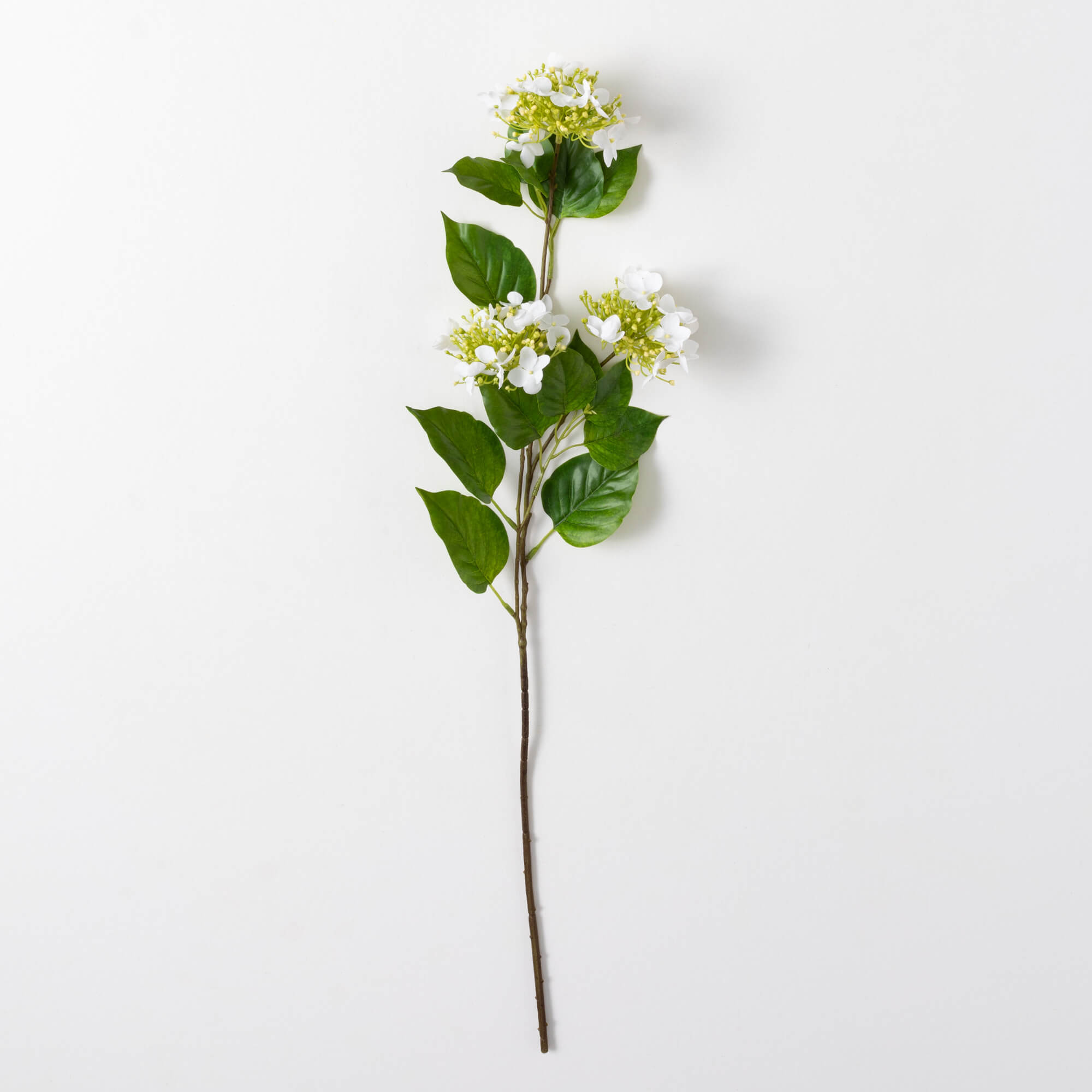 HYDRANGEA SPRAY