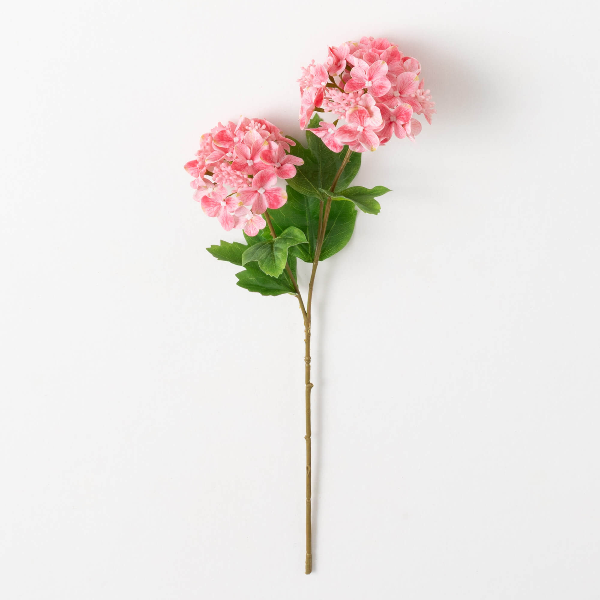 HYDRANGEA SPRAY