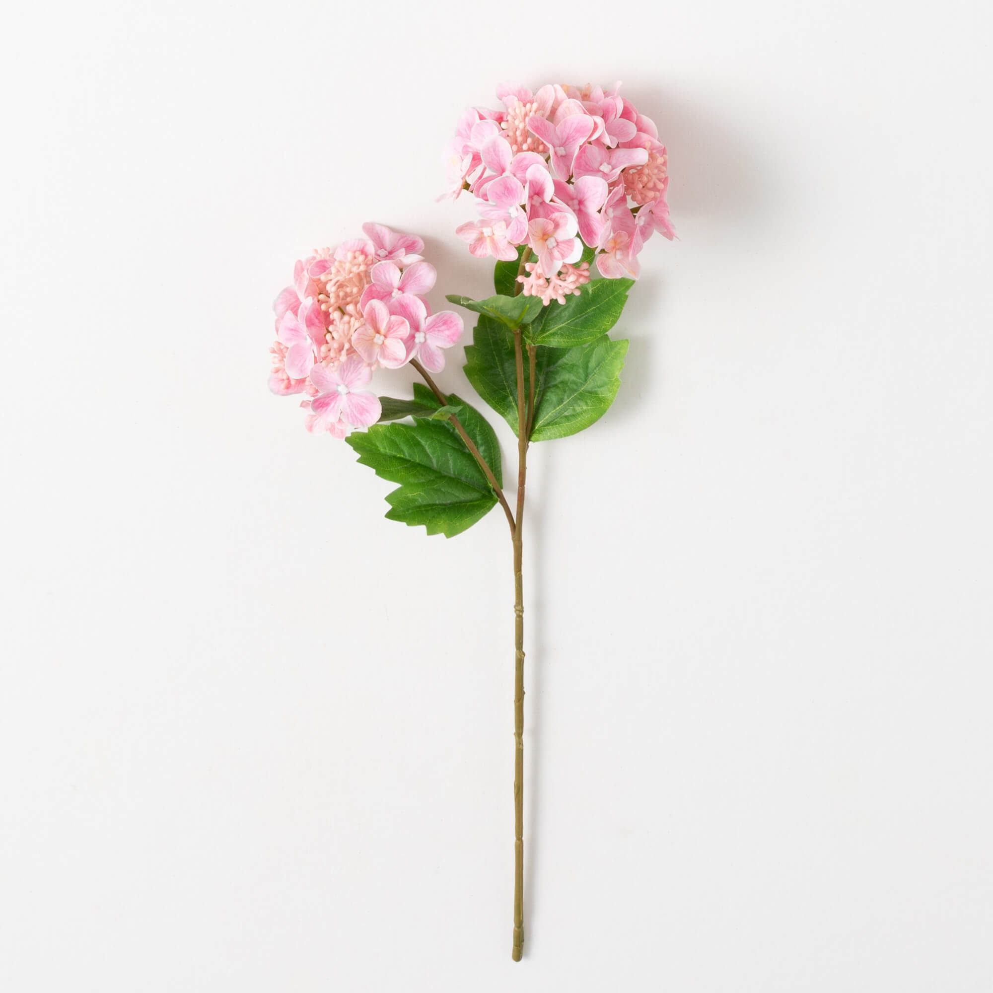 HYDRANGEA SPRAY