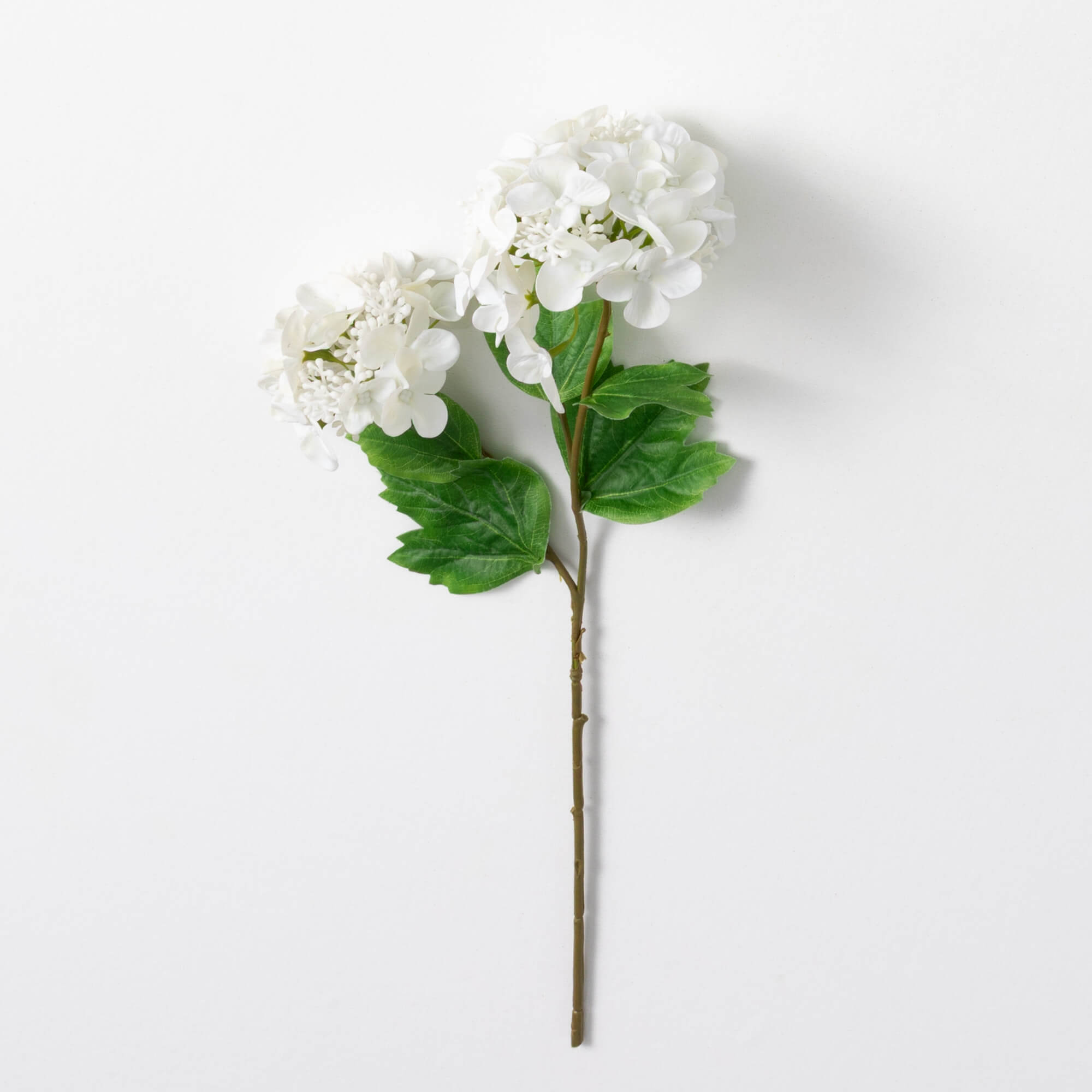 HYDRANGEA SPRAY