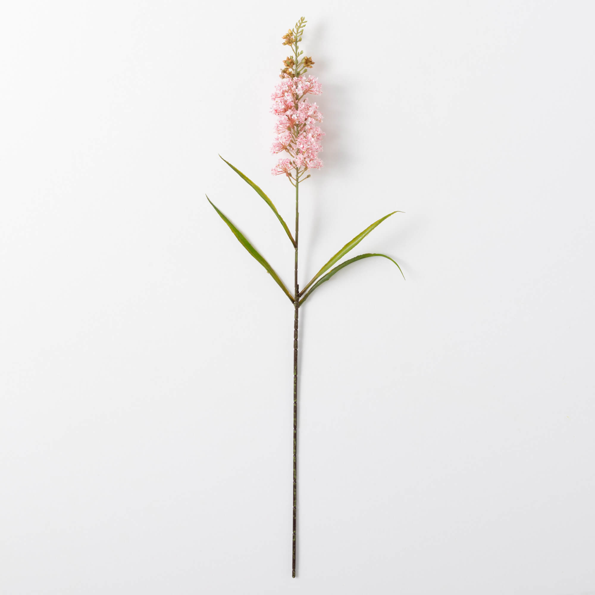 BLOSSOM STEM