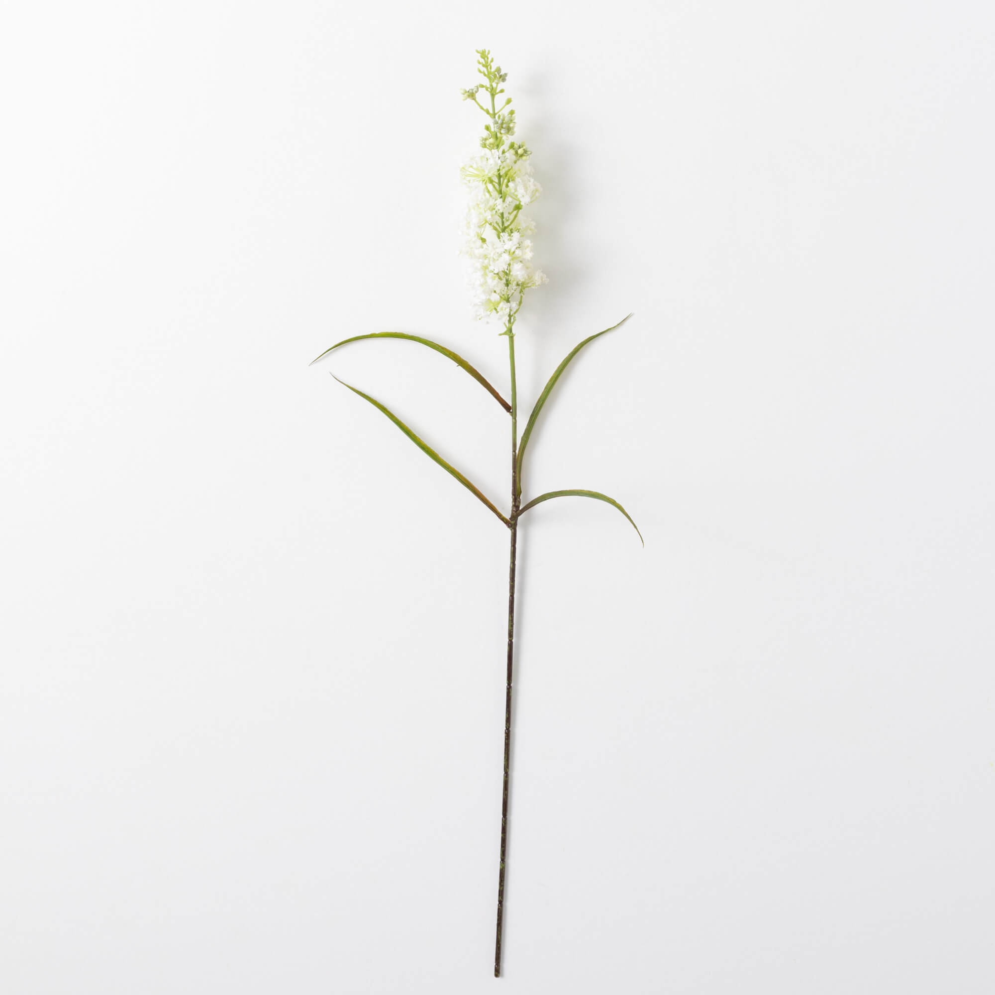 BLOSSOM STEM