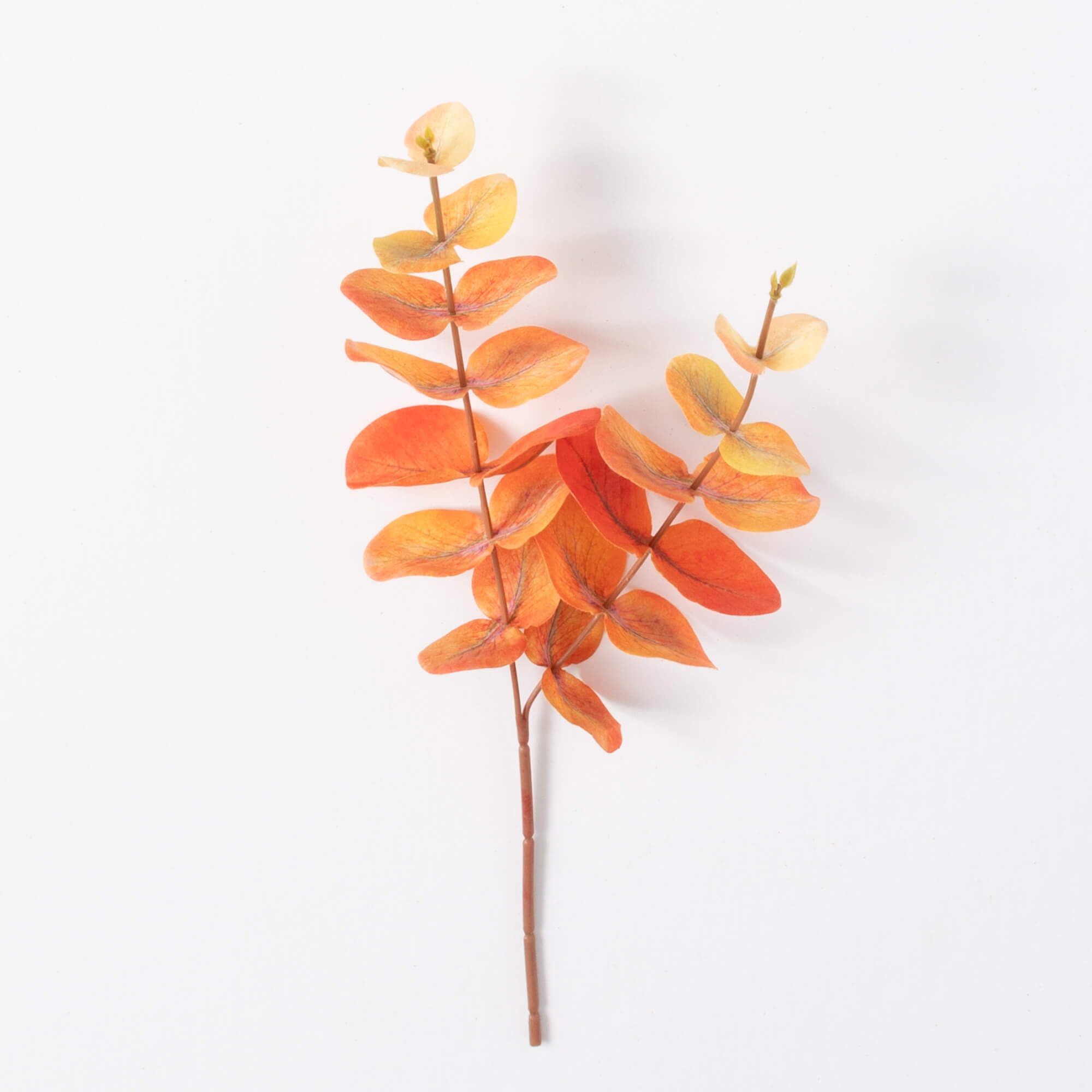 EUCALYPTUS PICK