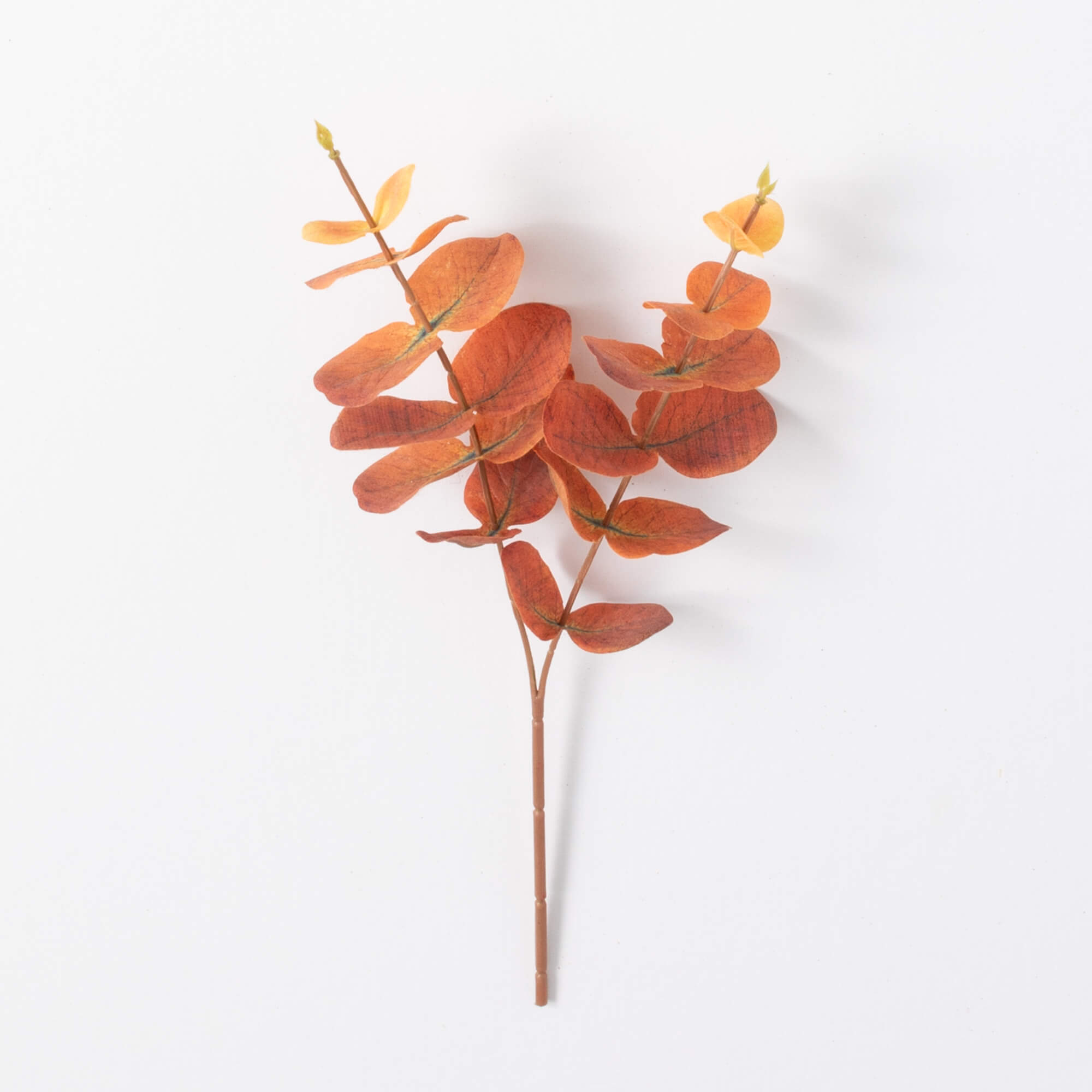 EUCALYPTUS PICK