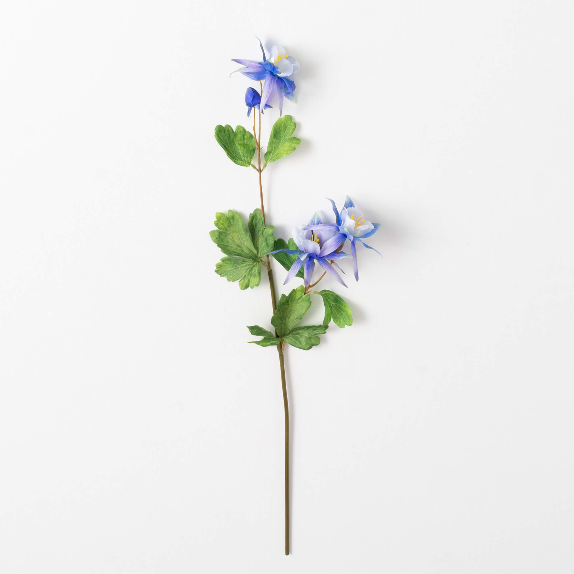 COLUMBINE SPRAY