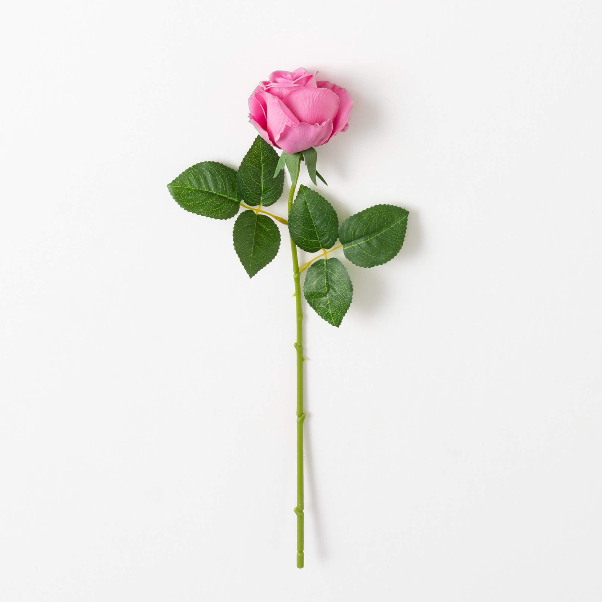 ROSE STEM