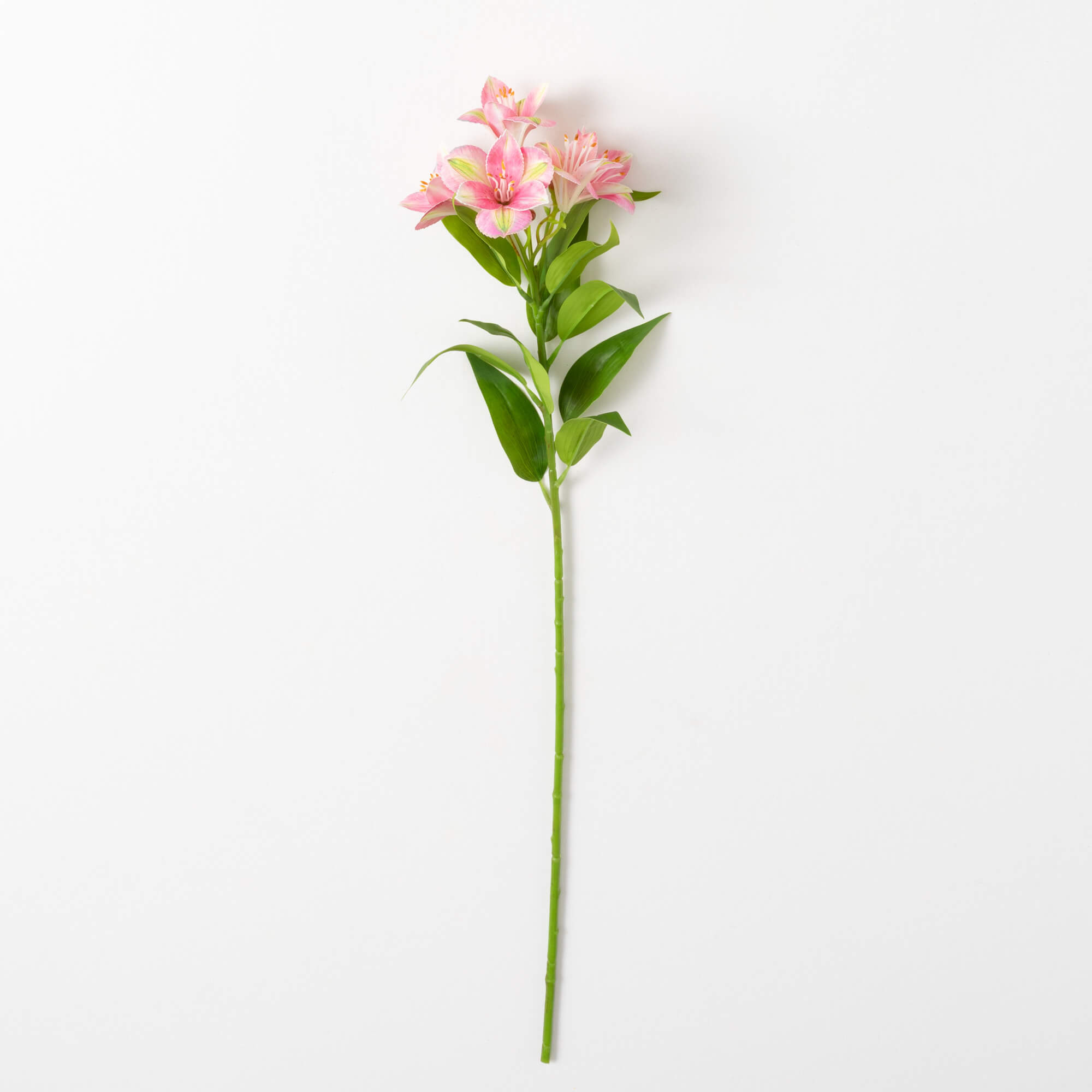 ALSTROEMERIA SPRAY