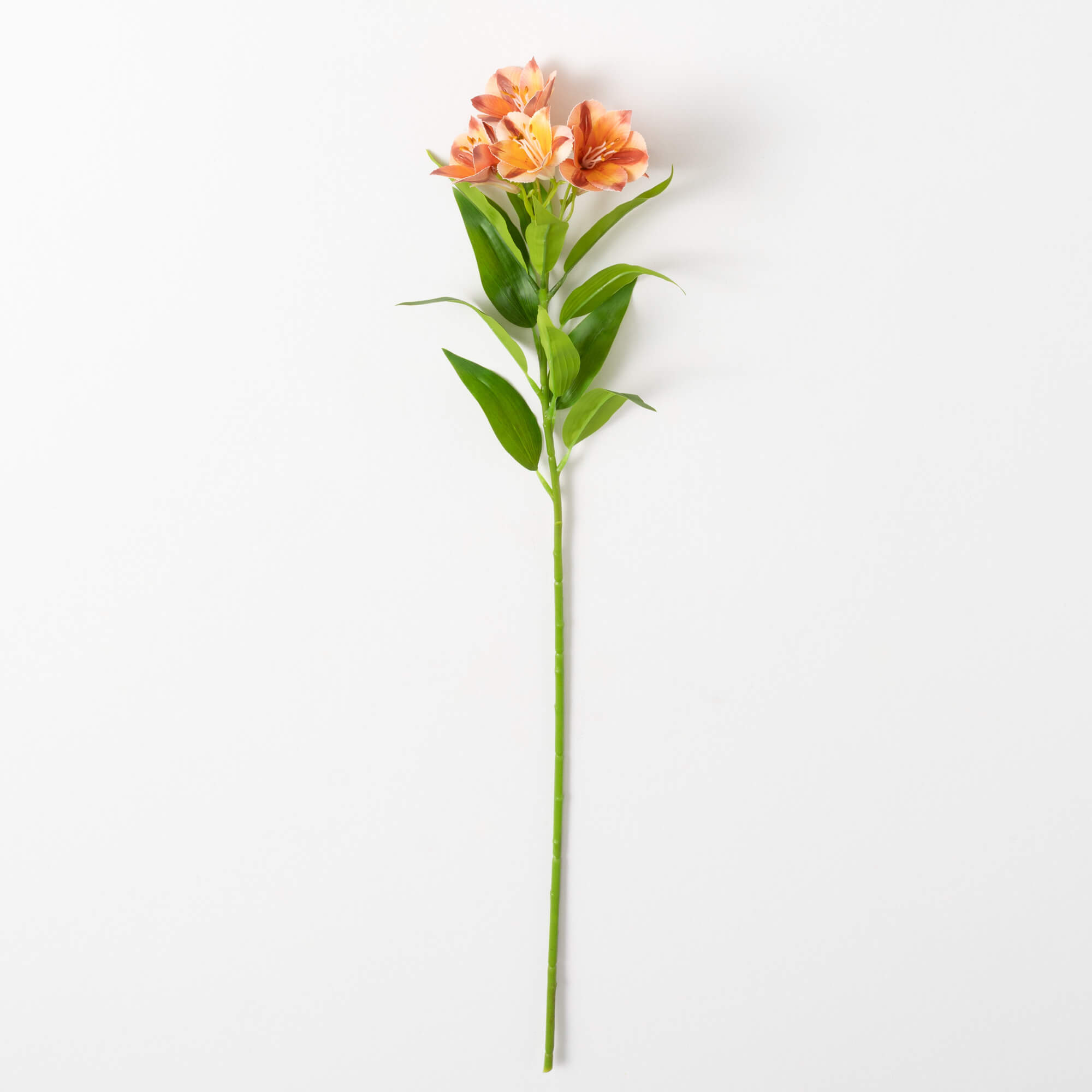ALSTROEMERIA SPRAY