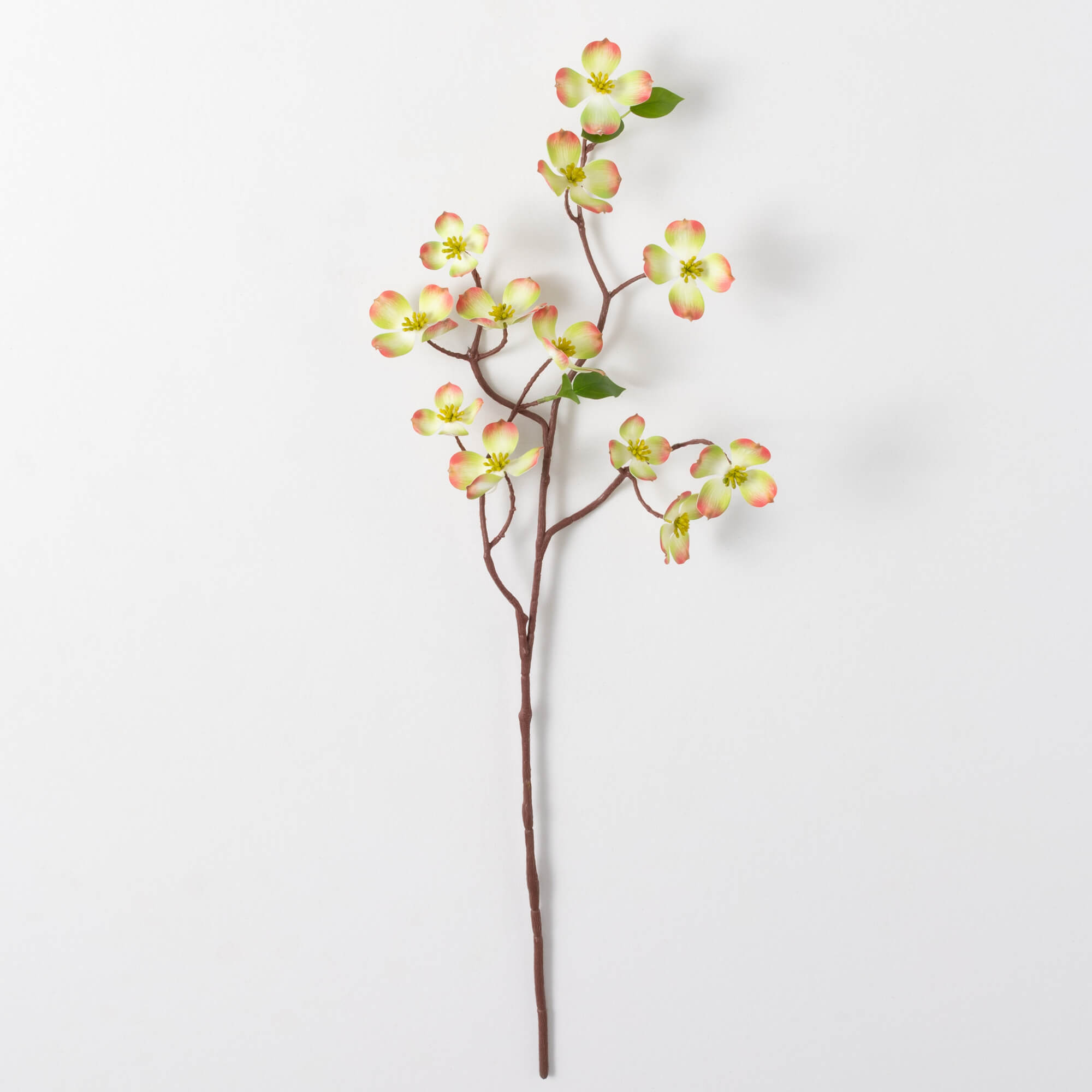 DOGWOOD SPRAY