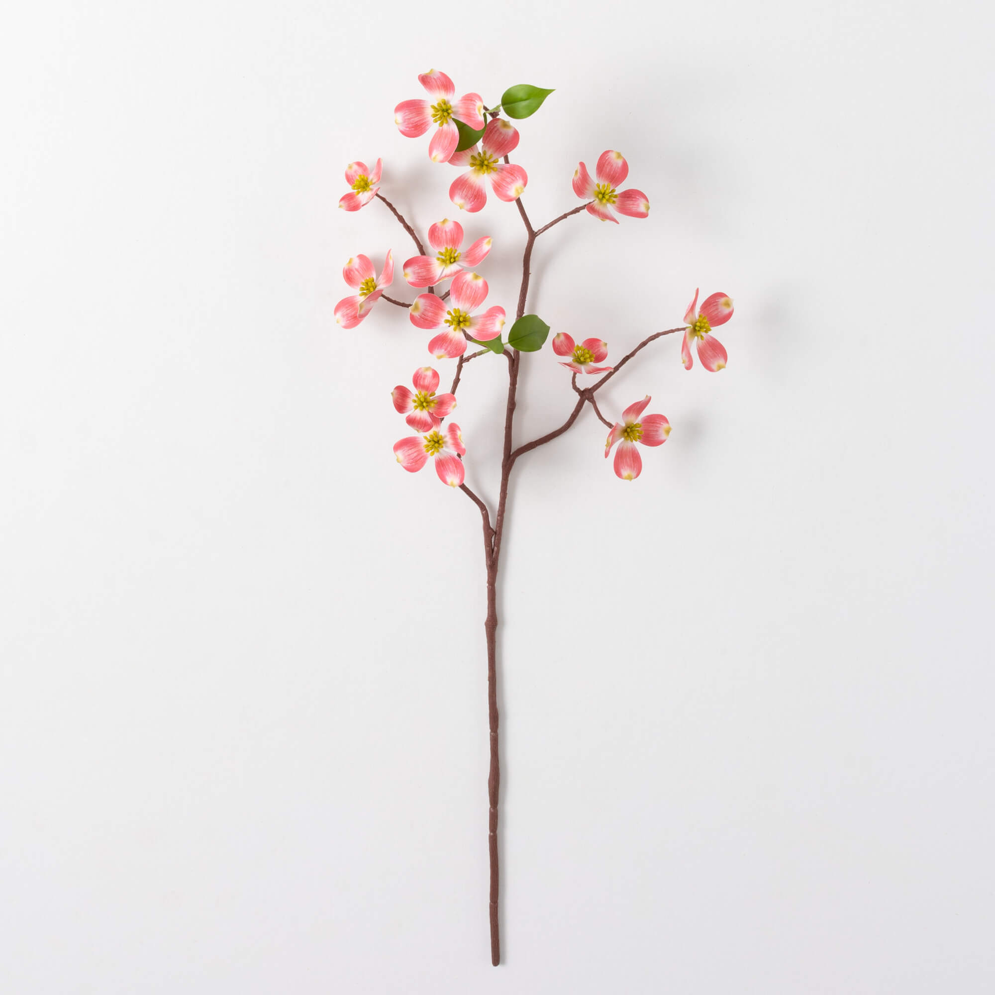 DOGWOOD SPRAY