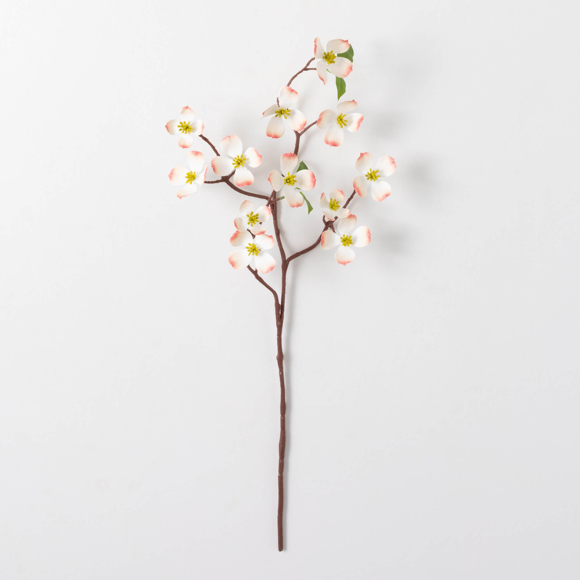 DOGWOOD SPRAY