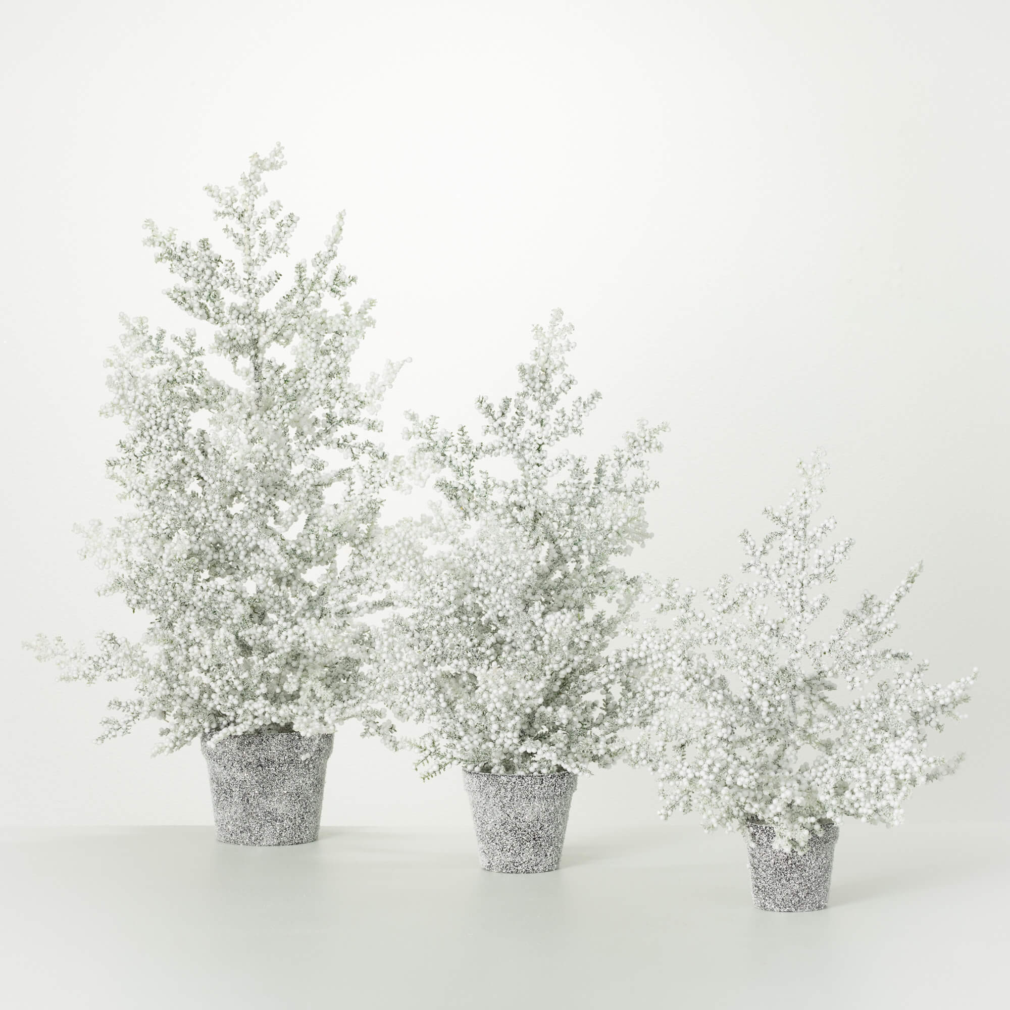 FROSTED JUNIPER TABLETOP TREES