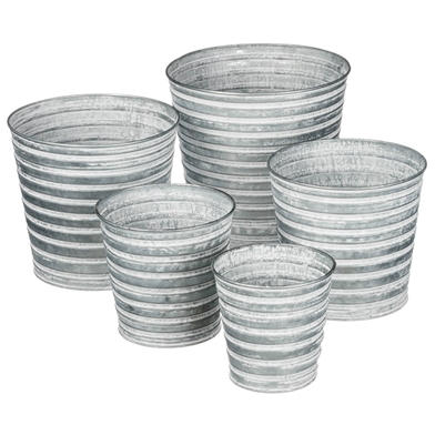 METAL PAIL PLANTER SET OF 5