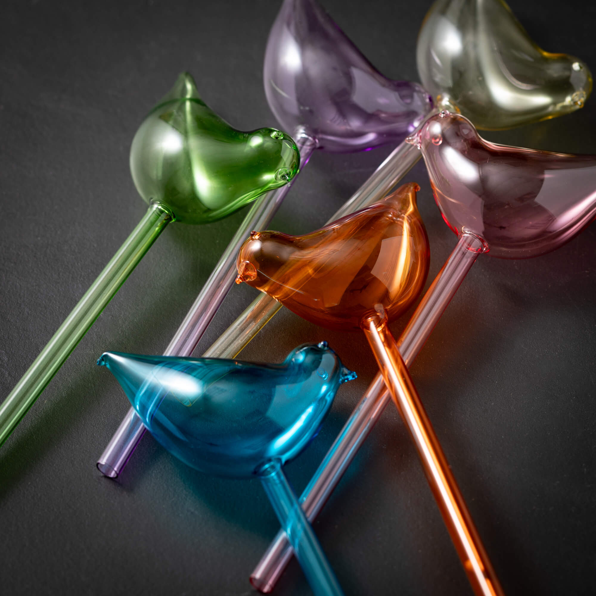 BIRD WATERING WAND Set 12