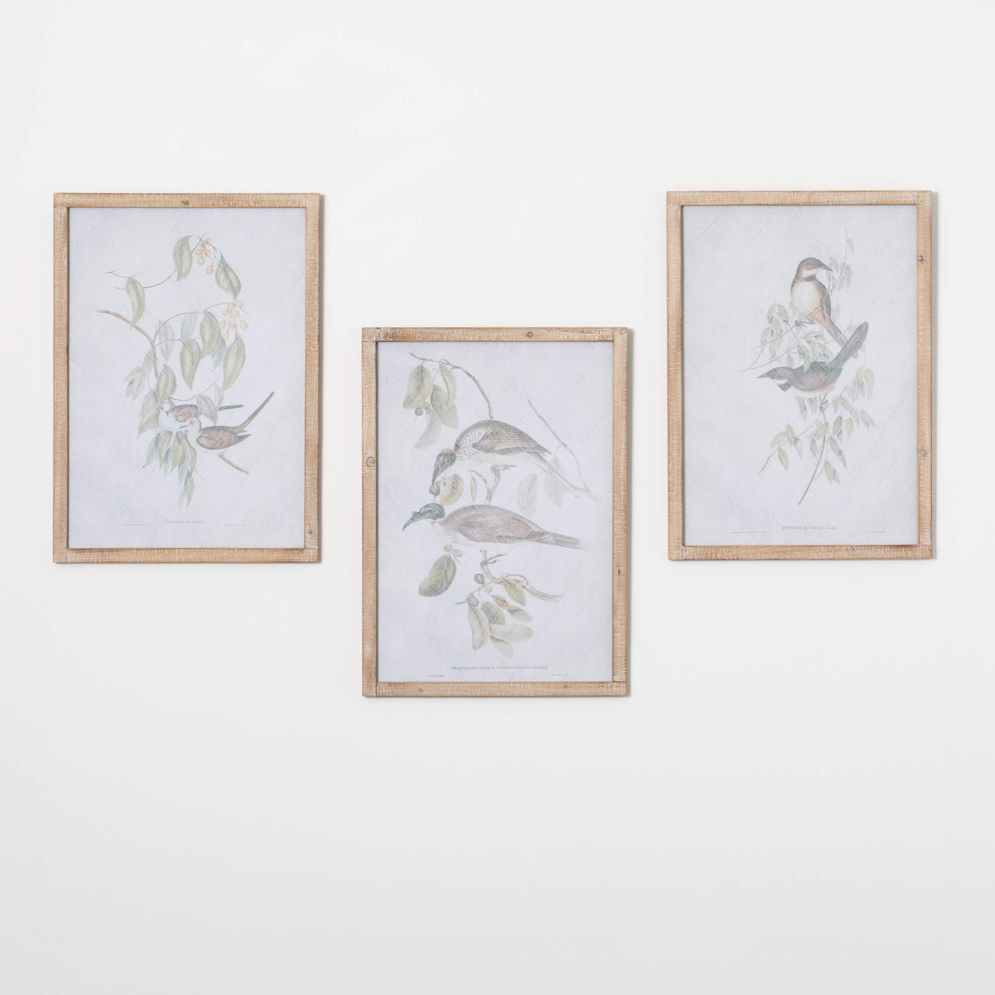 BIRD WALL DECOR Set 3