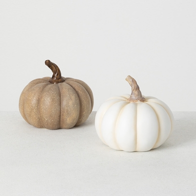 WHITE & BROWN MINI PUMPKIN SET