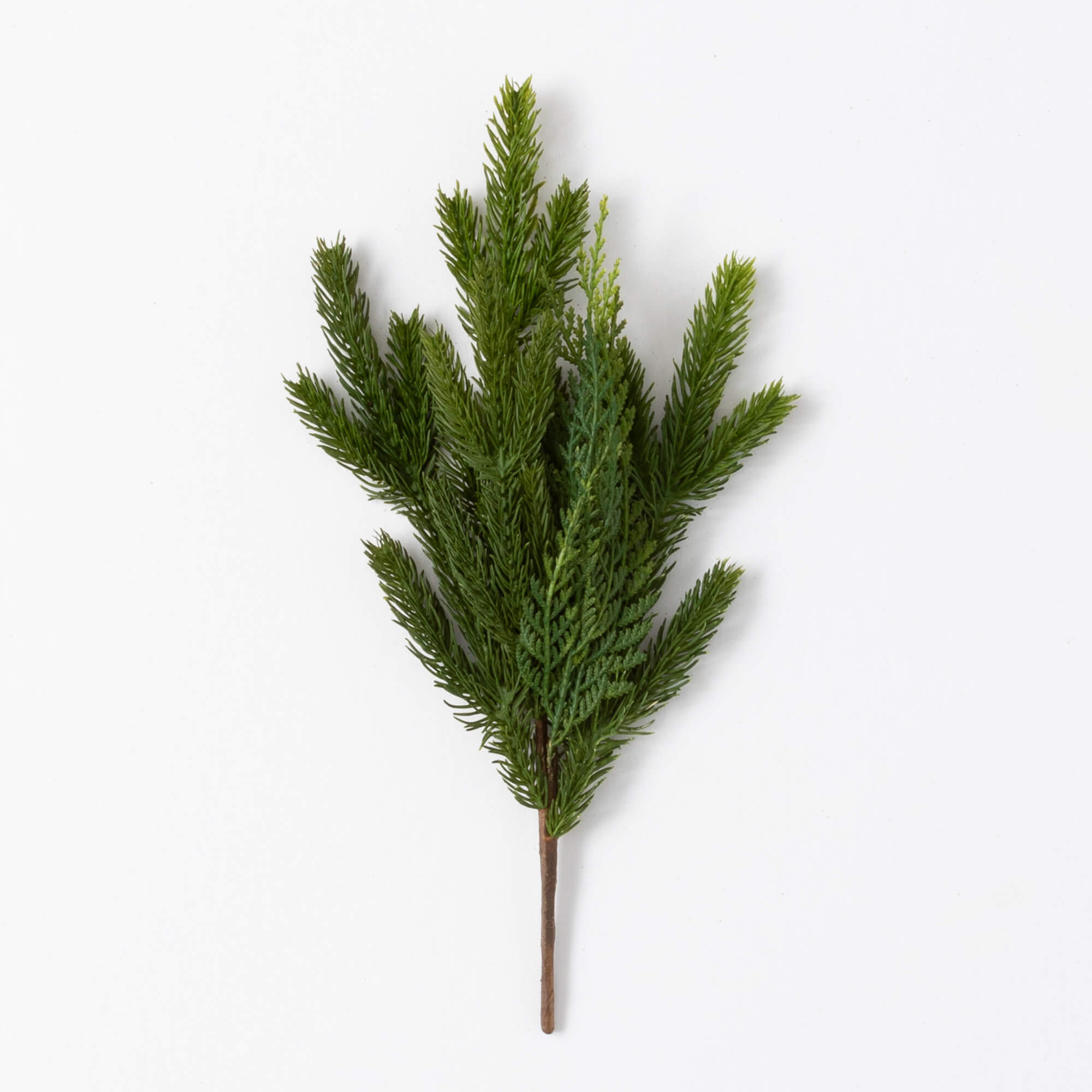 CEDAR PICK