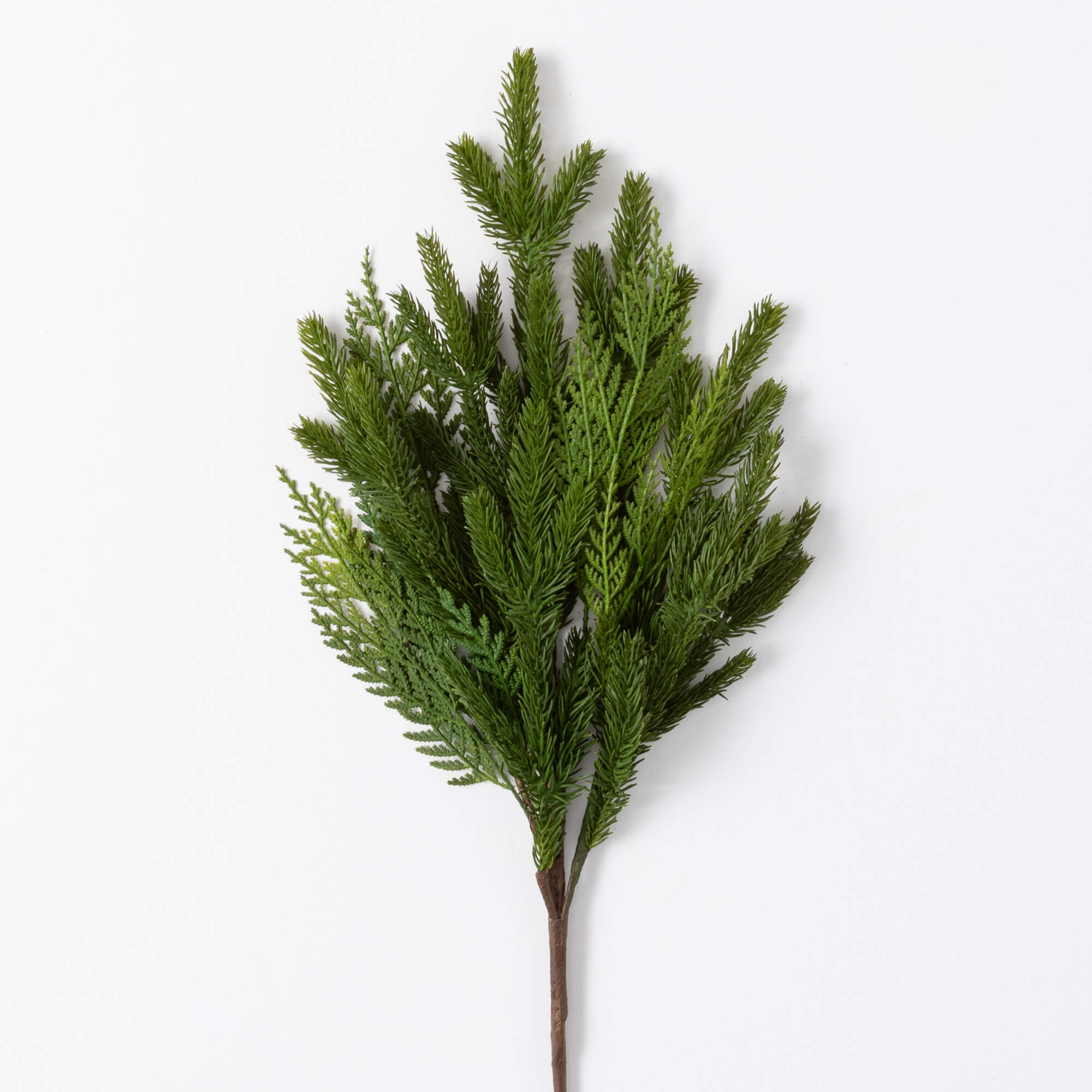 CEDAR SPRAY