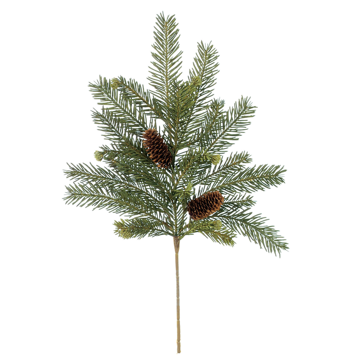 Wholesale Alpine Fir Pick, Pine Green Picks | Sullivans