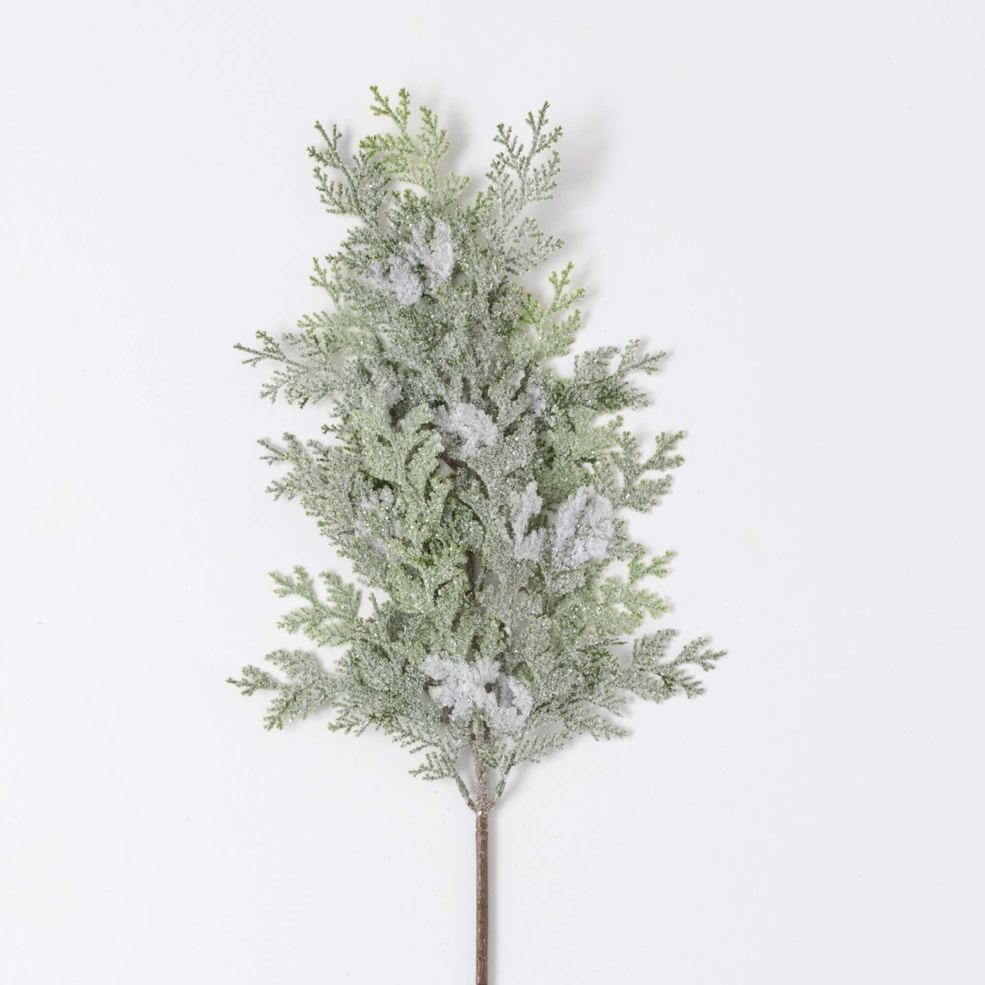 FROSTED CYPRESS SPRAY