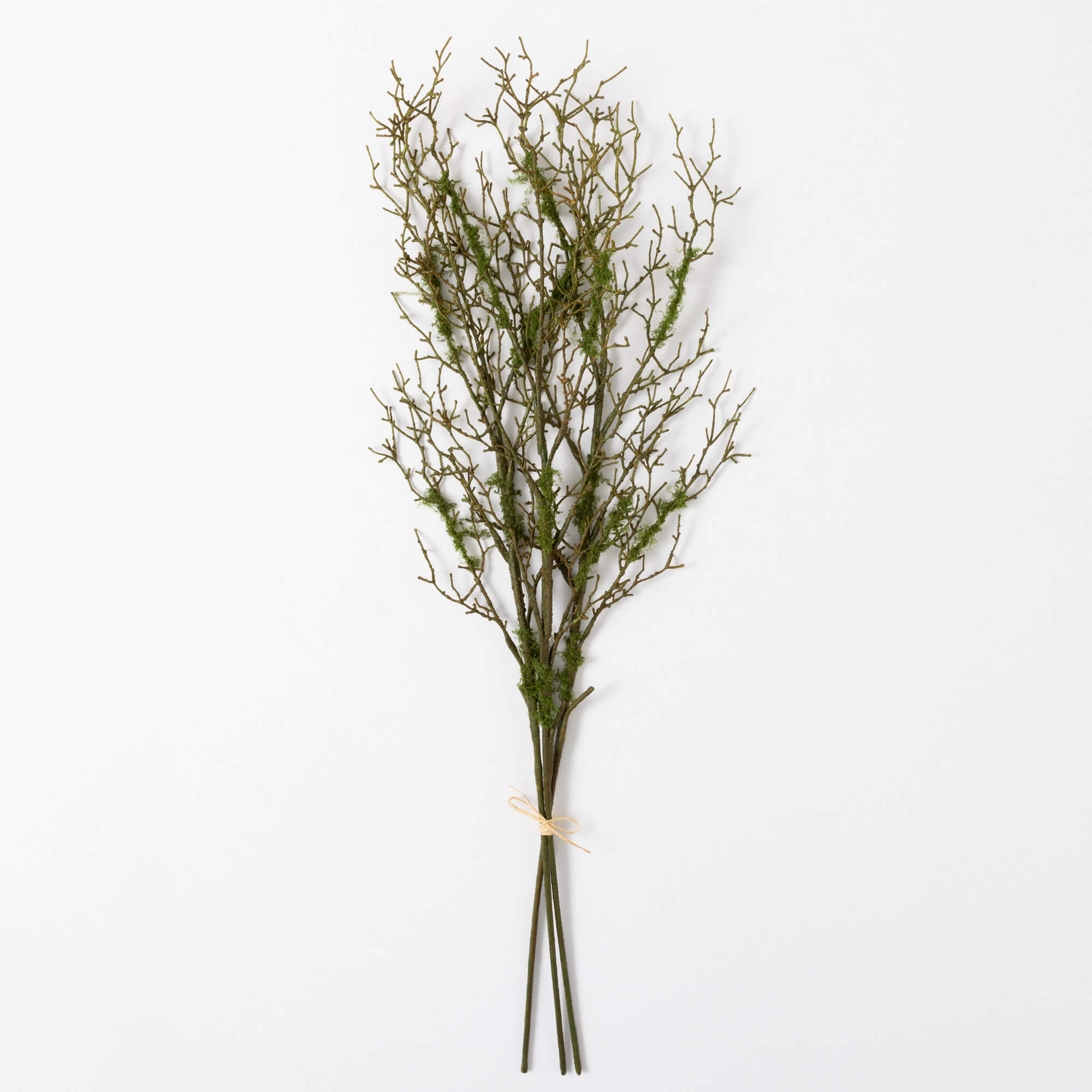 JUMBO TWIG BRANCH