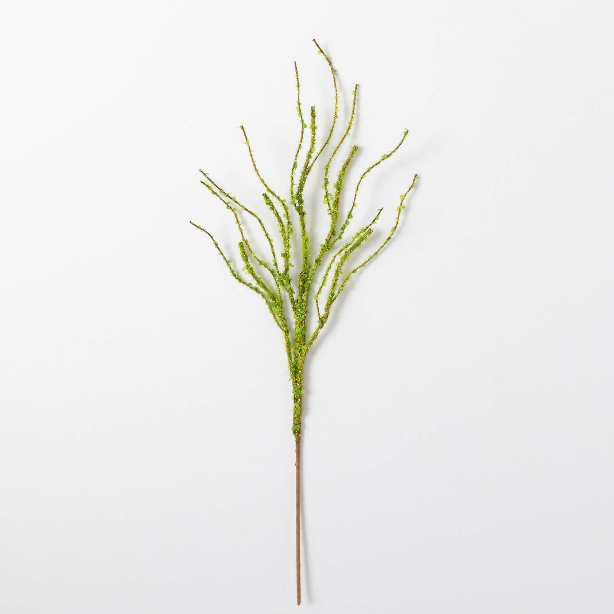 TWIG BRANCH